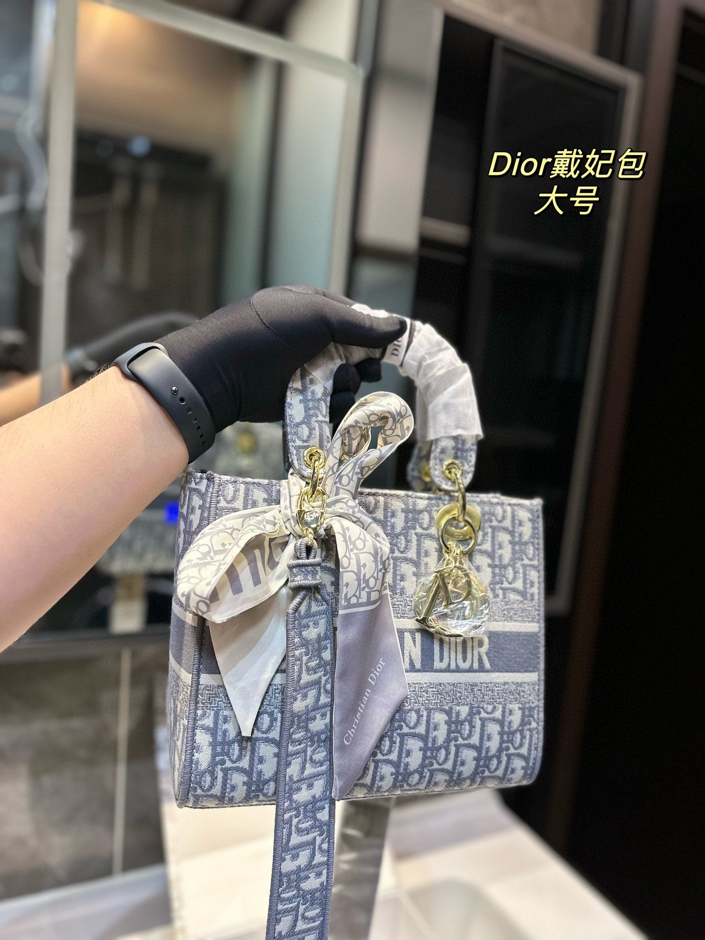 DIOR-501