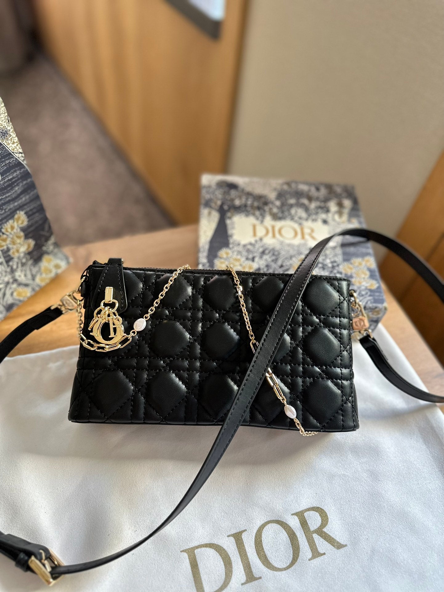 DIOR-491