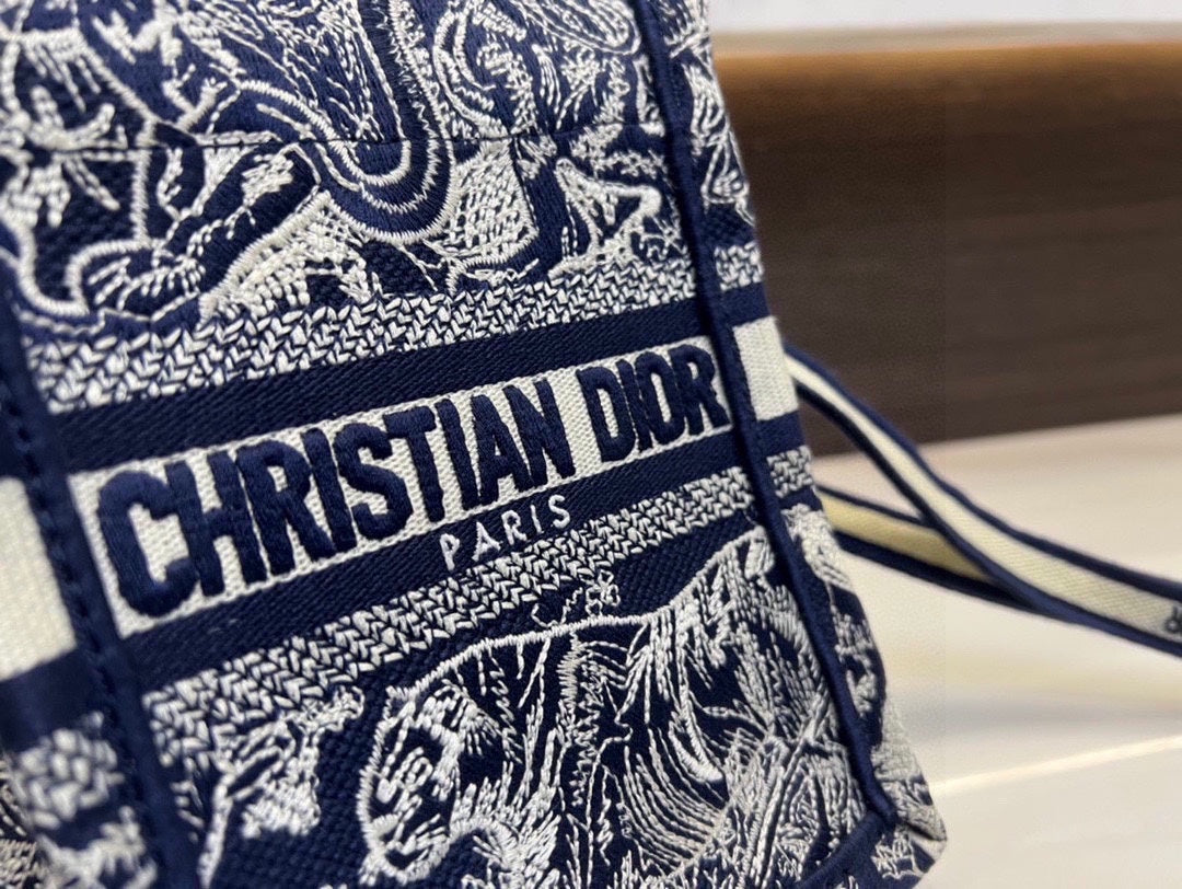 DIOR-566