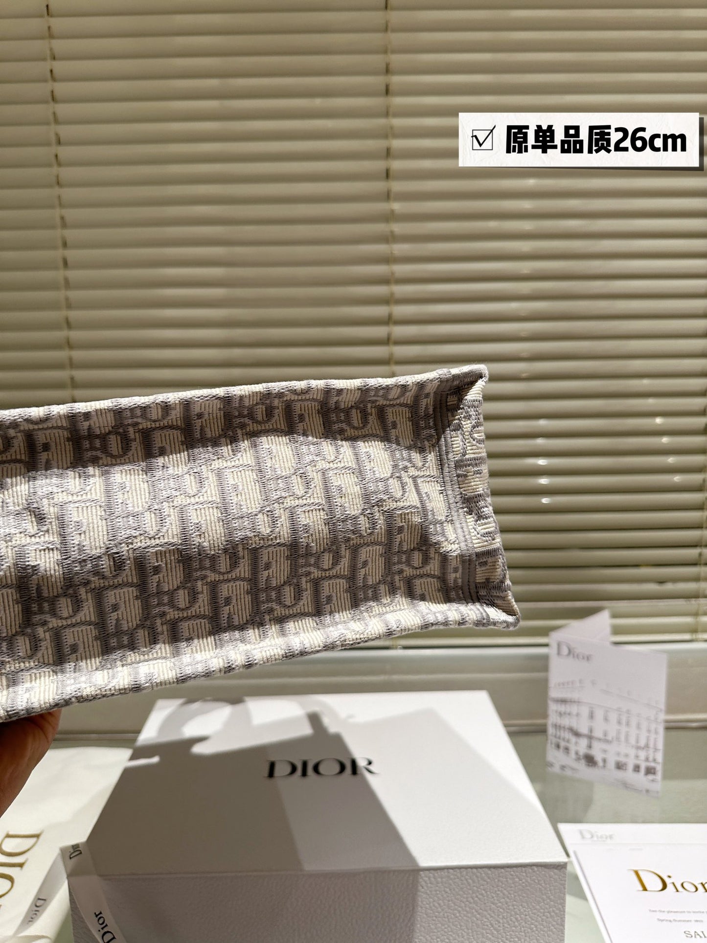 DIOR-651
