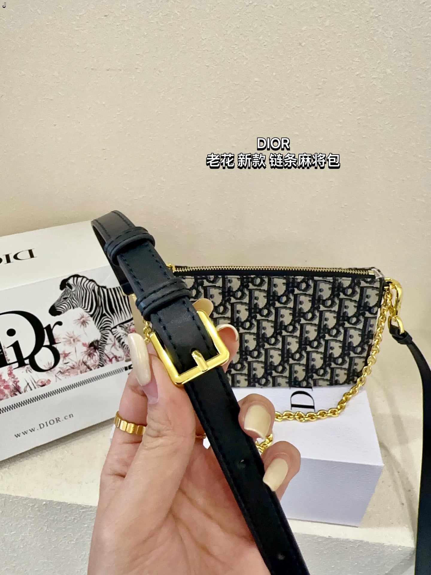DIOR-494