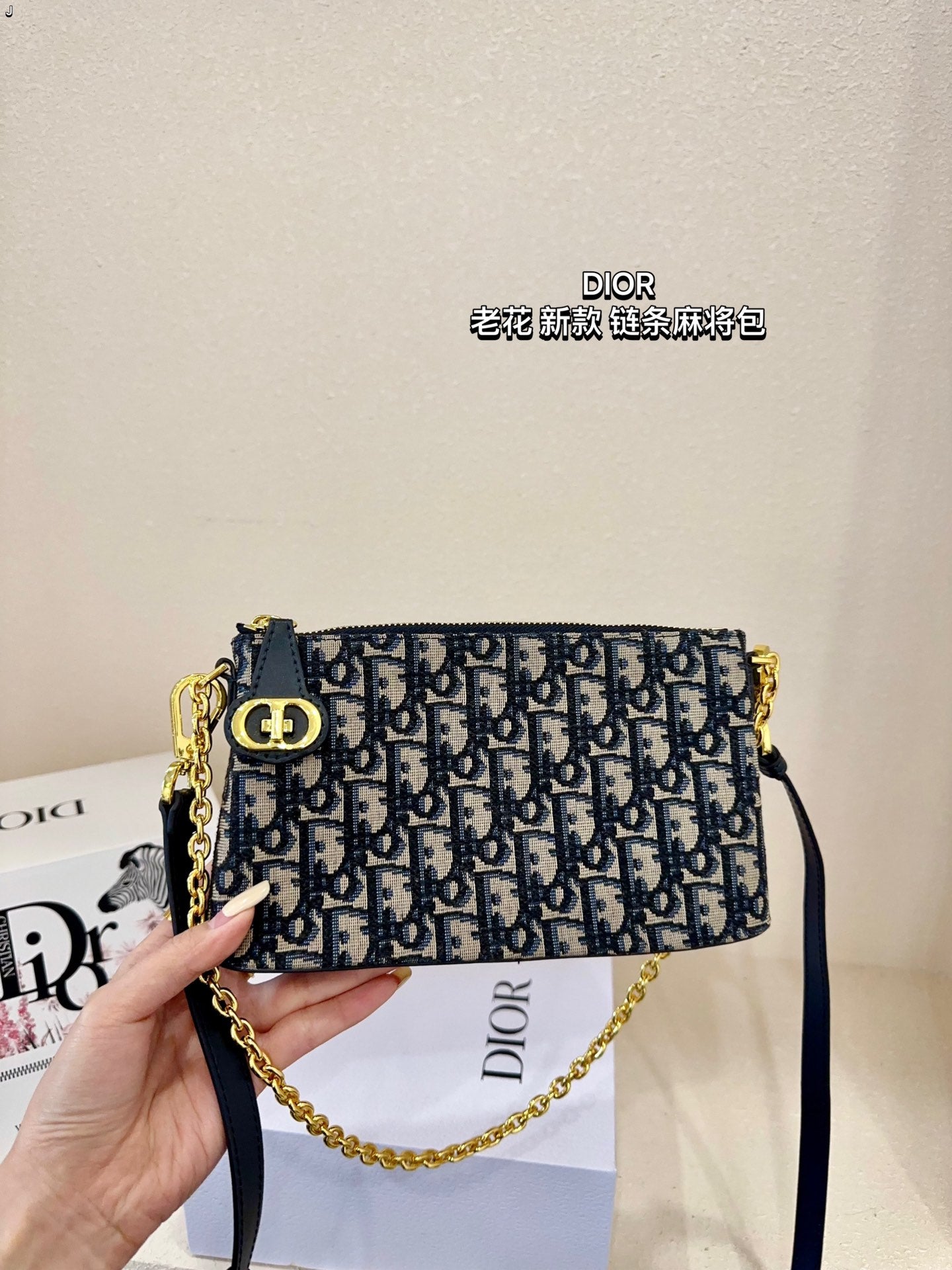 DIOR-494