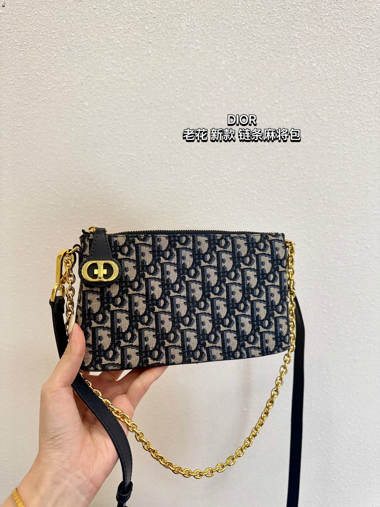 DIOR-494