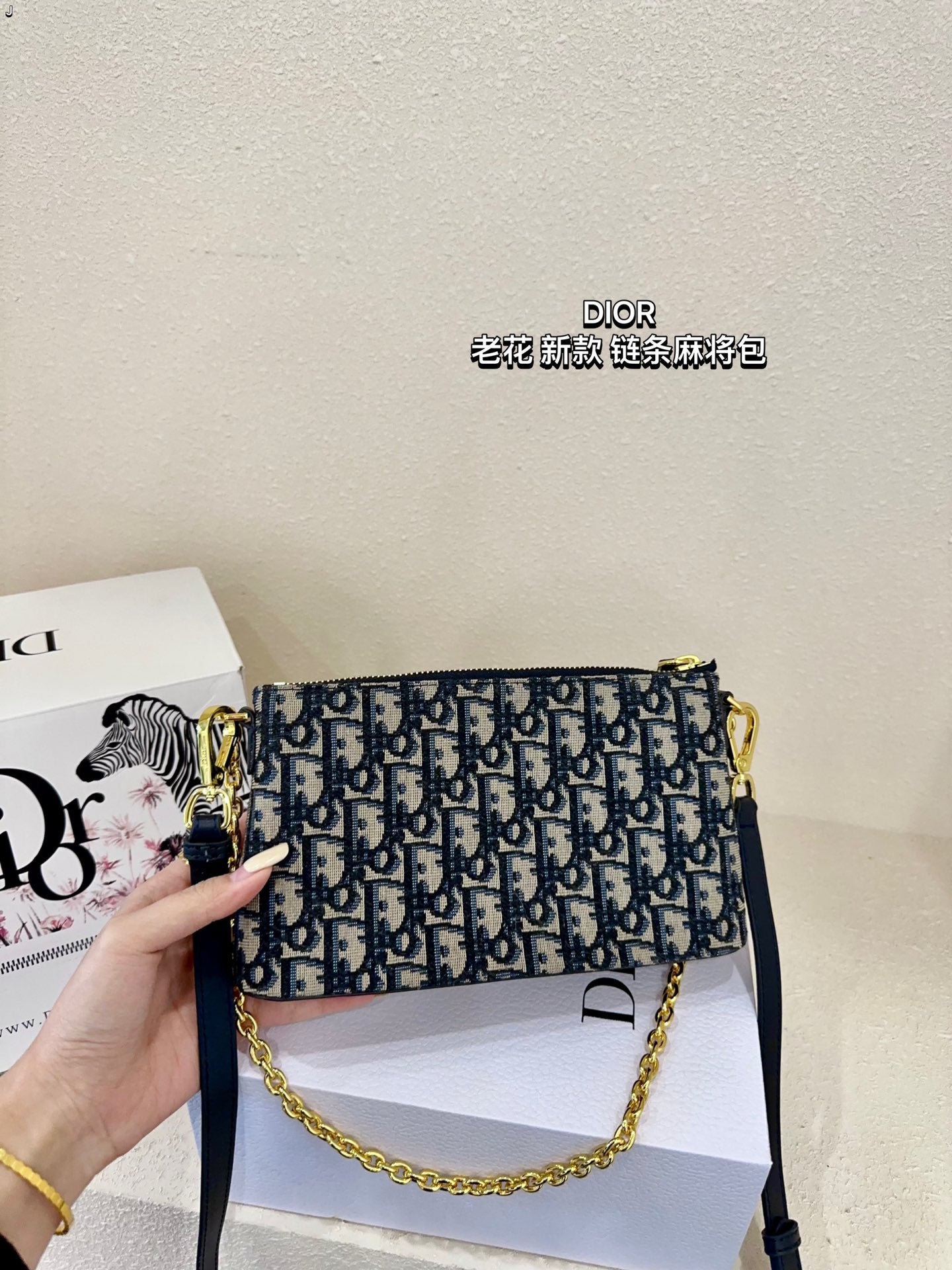 DIOR-494