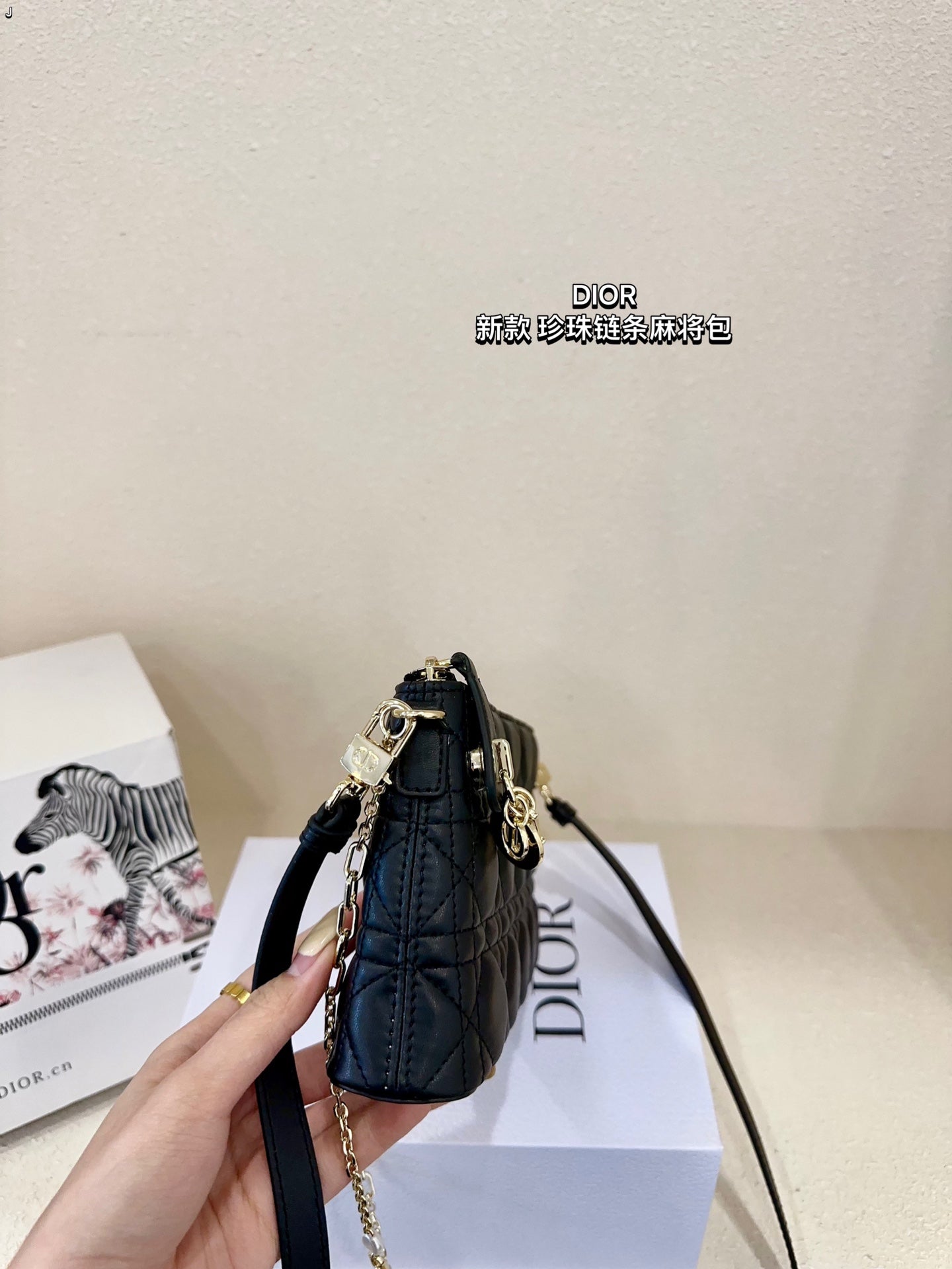 DIOR-505