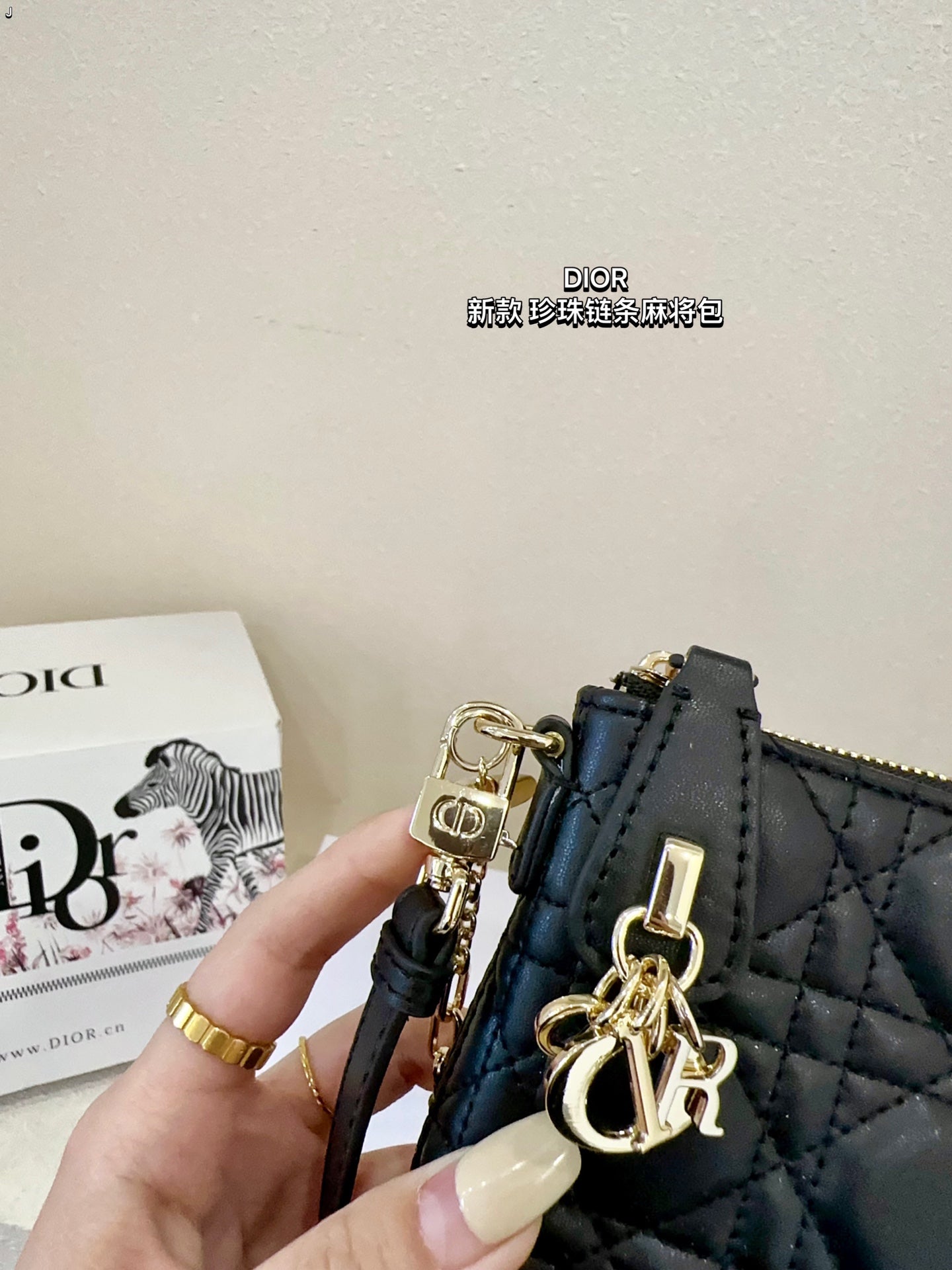 DIOR-505