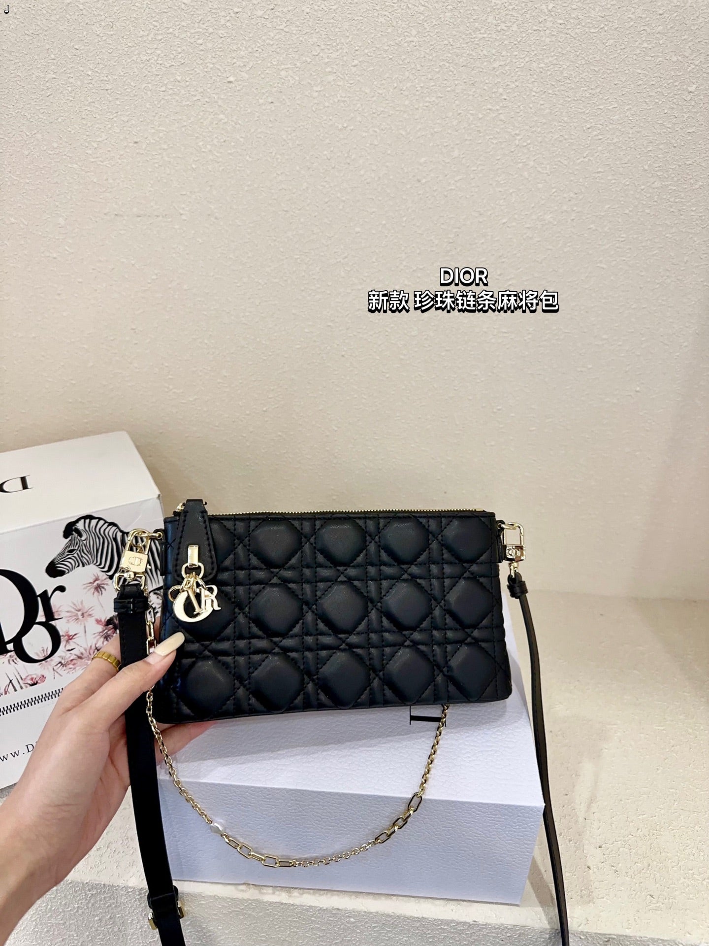 DIOR-505