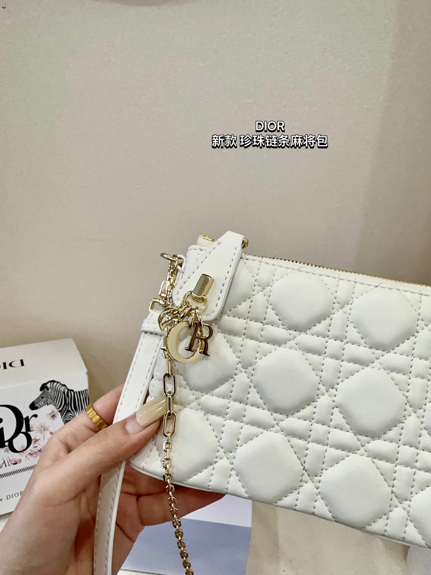 DIOR-513