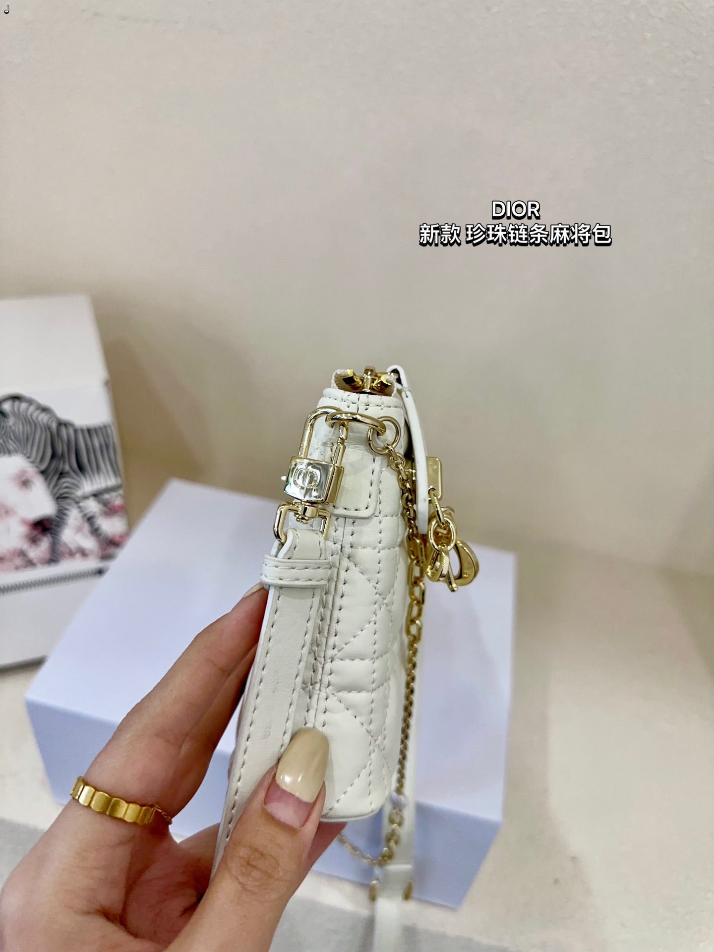 DIOR-513