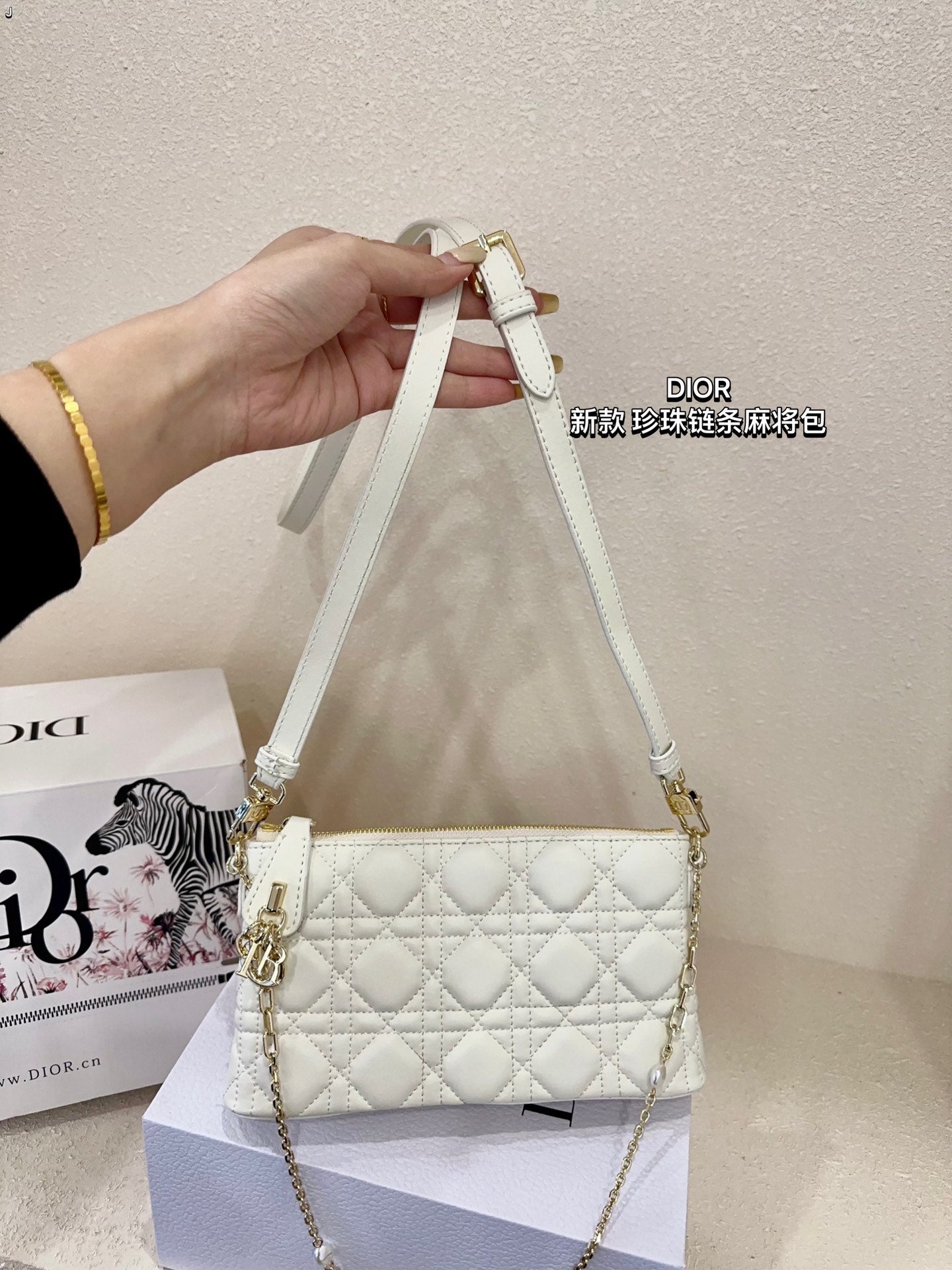 DIOR-513
