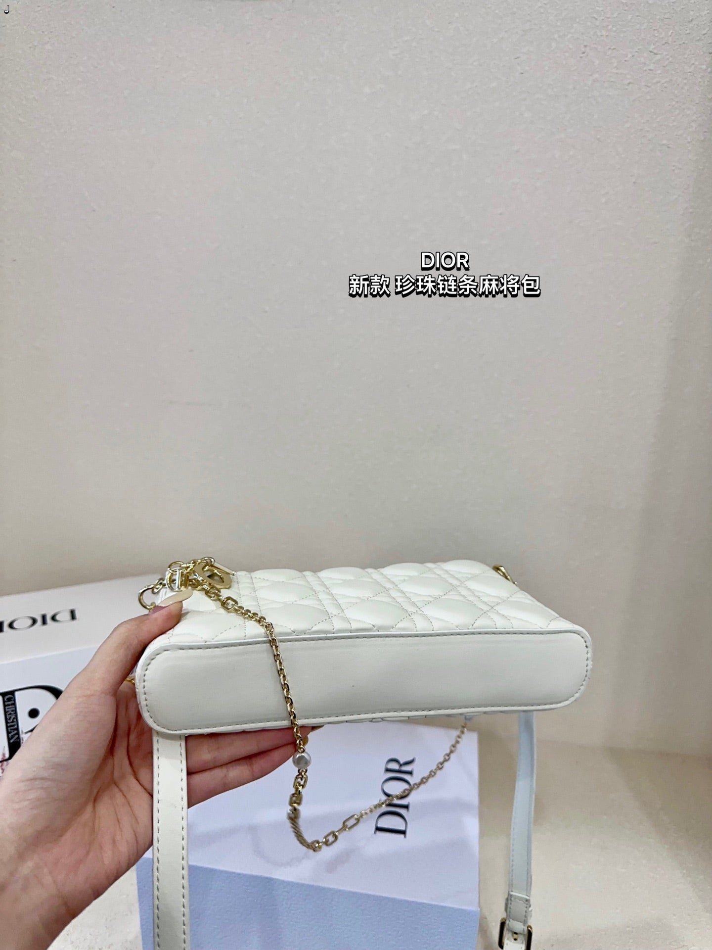 DIOR-513