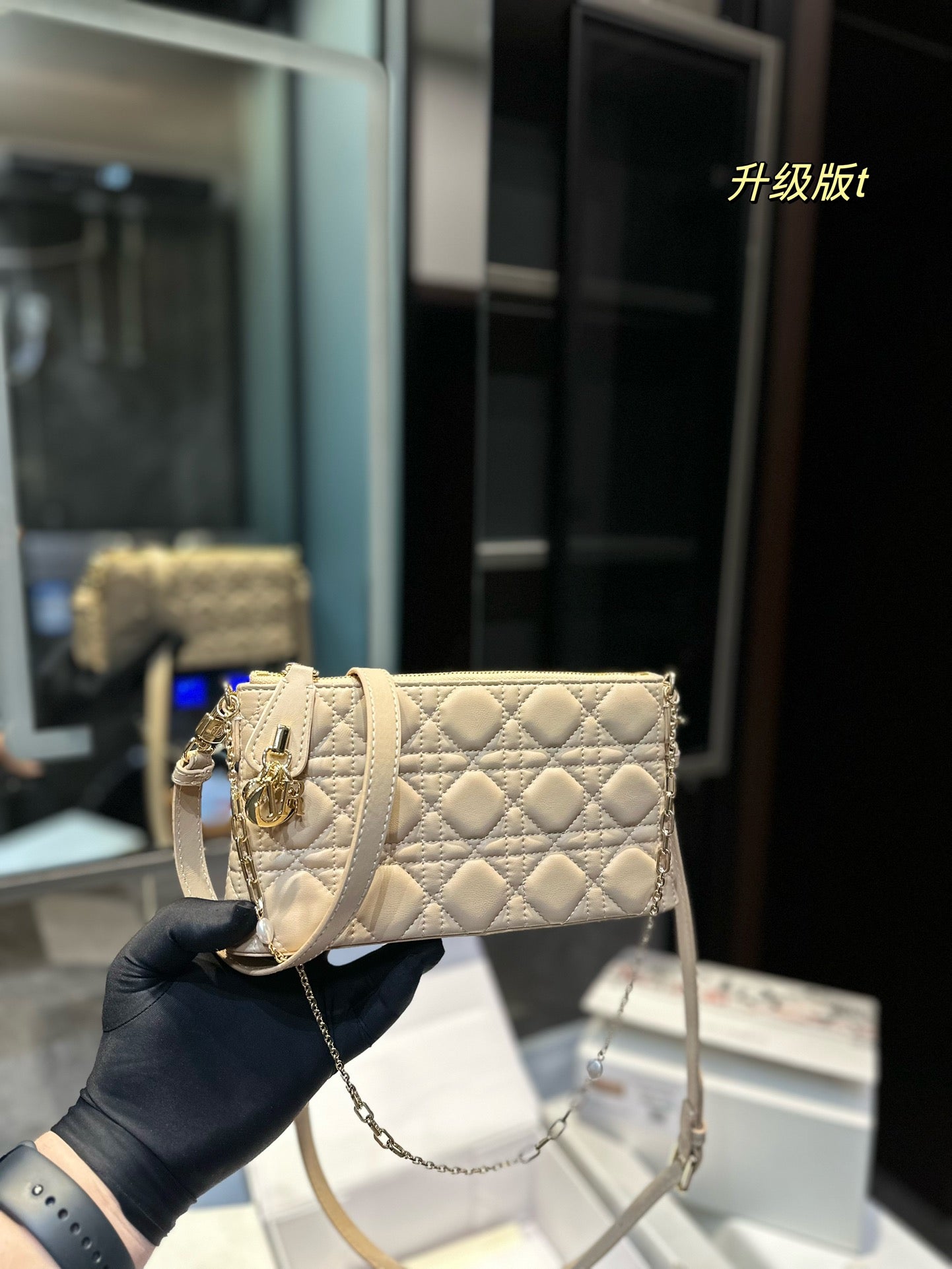 DIOR-509