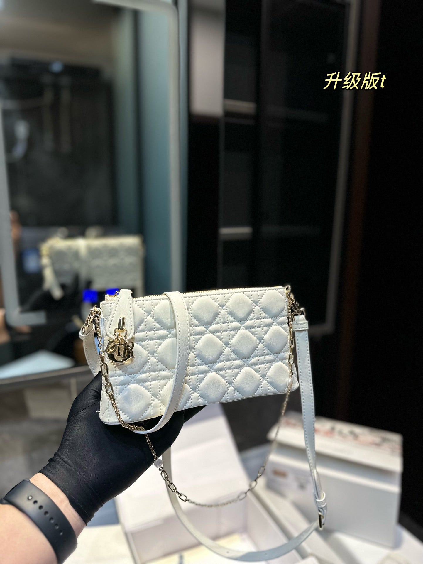 DIOR-509