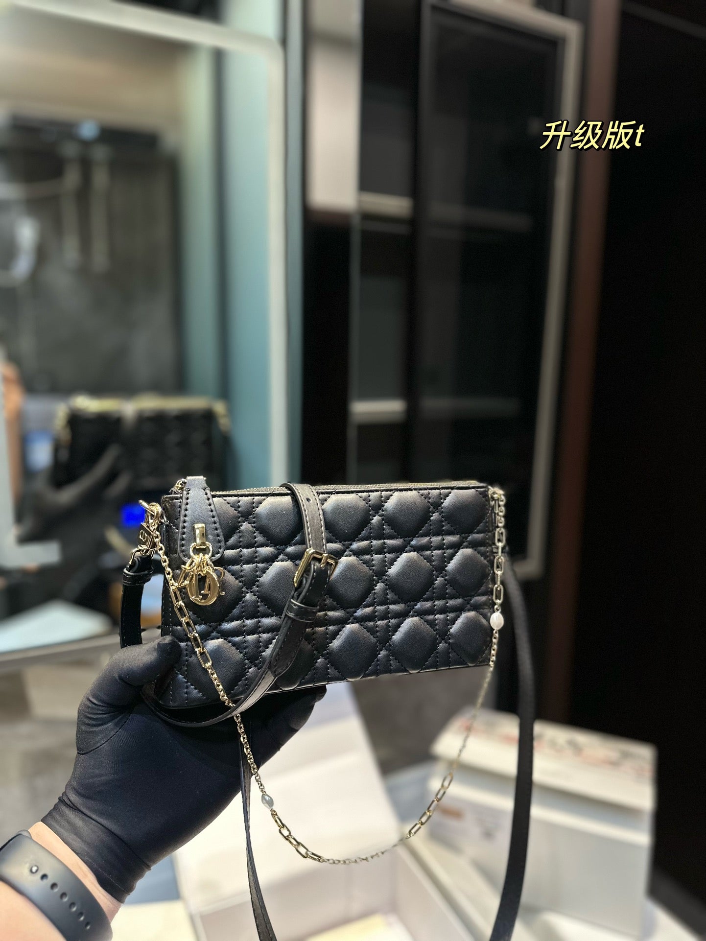 DIOR-509