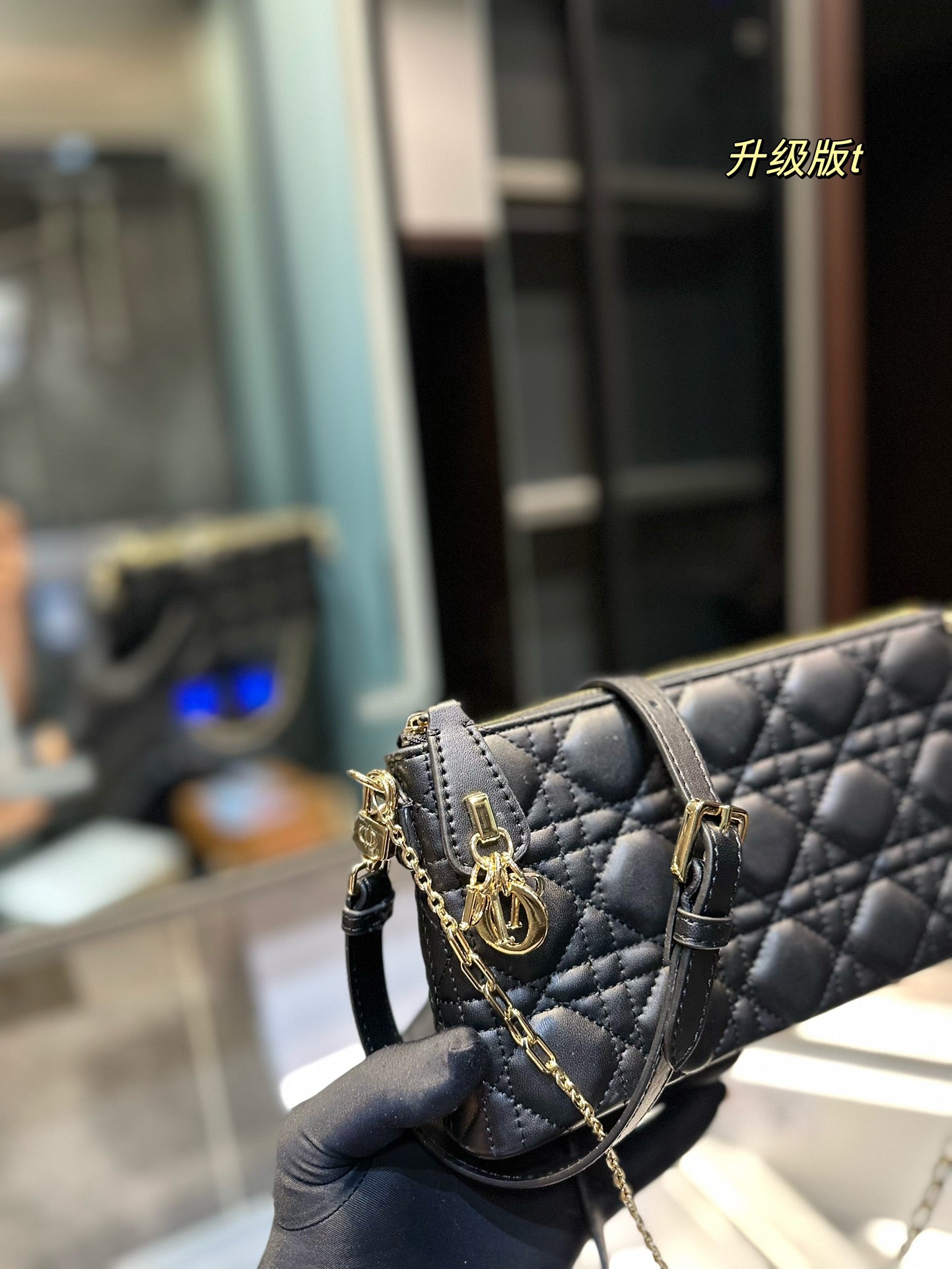 DIOR-509