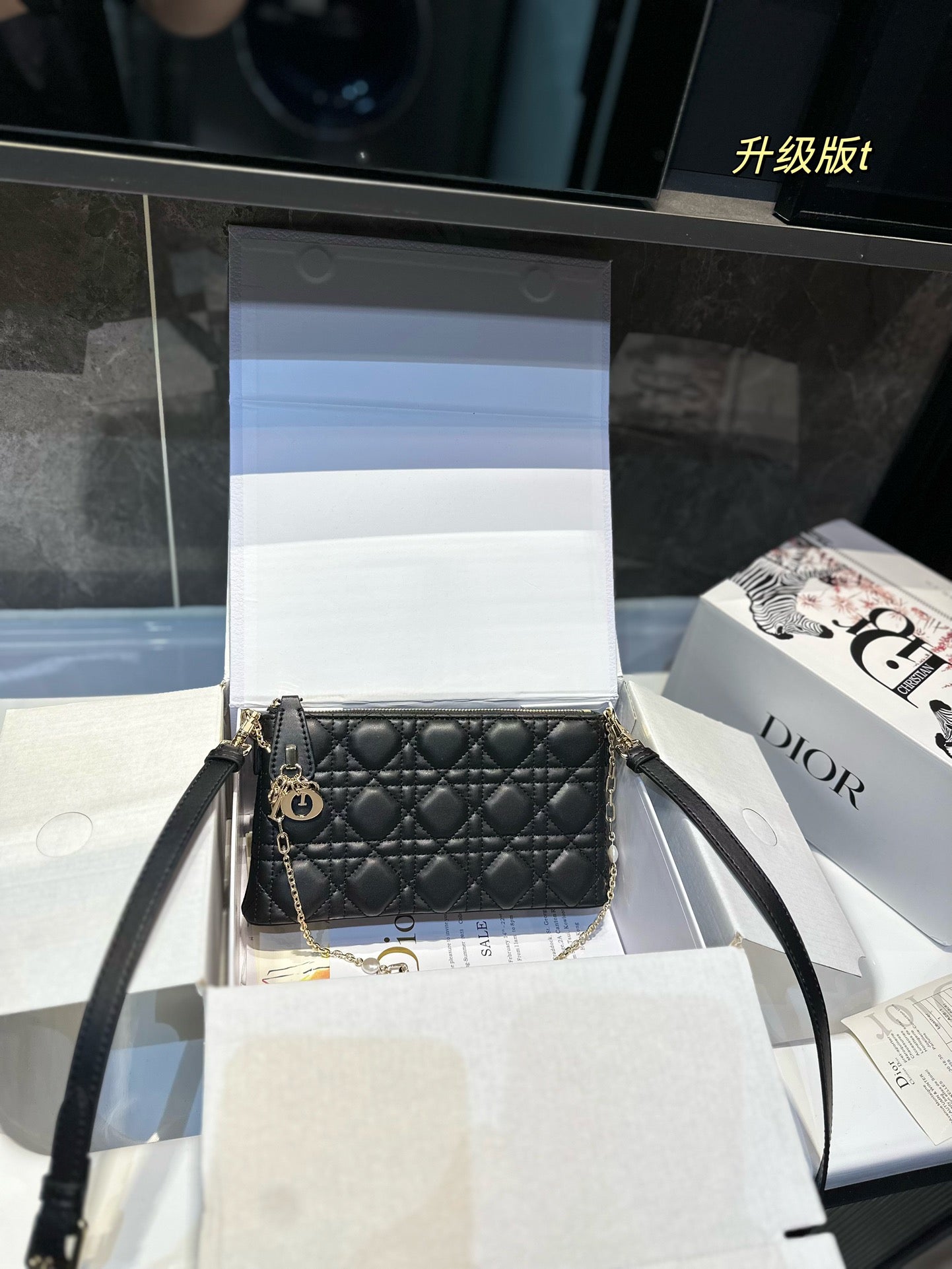 DIOR-509