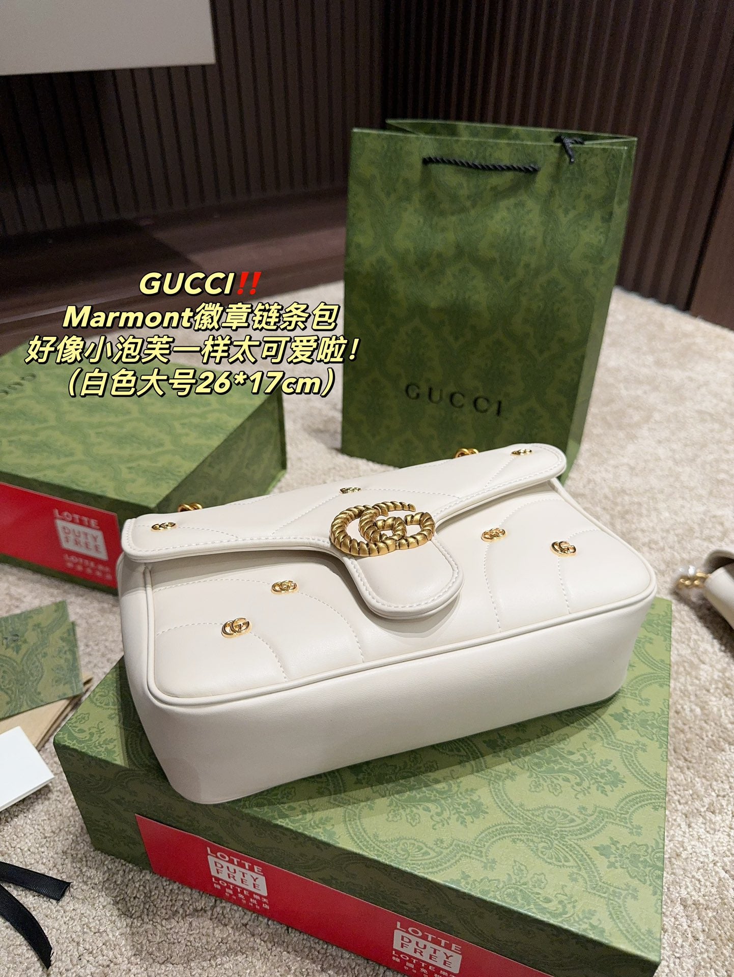 GUCCI-1063