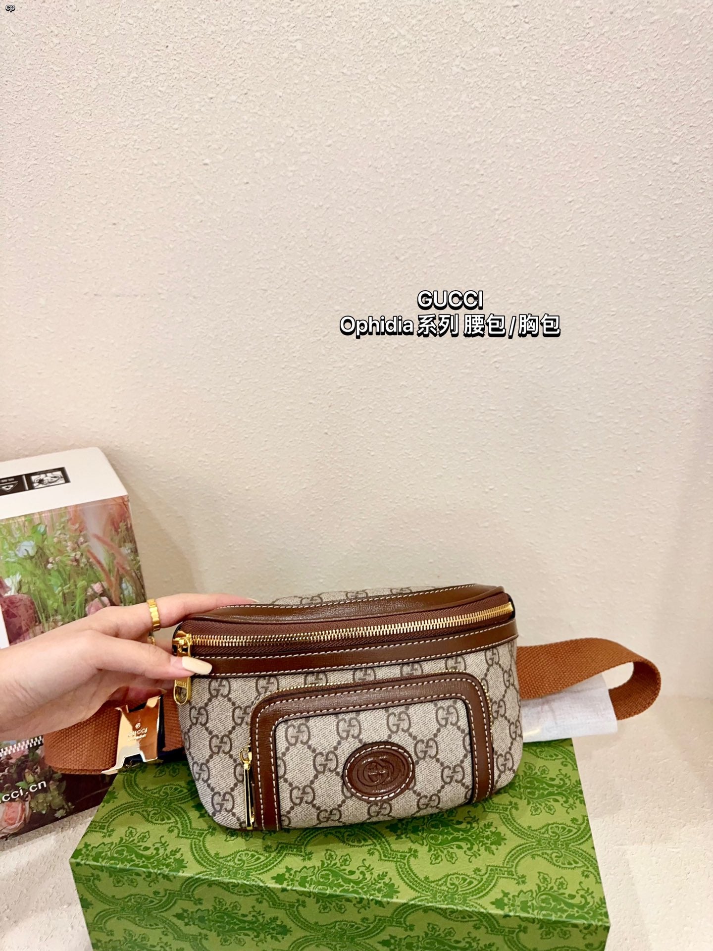 GUCCI-841