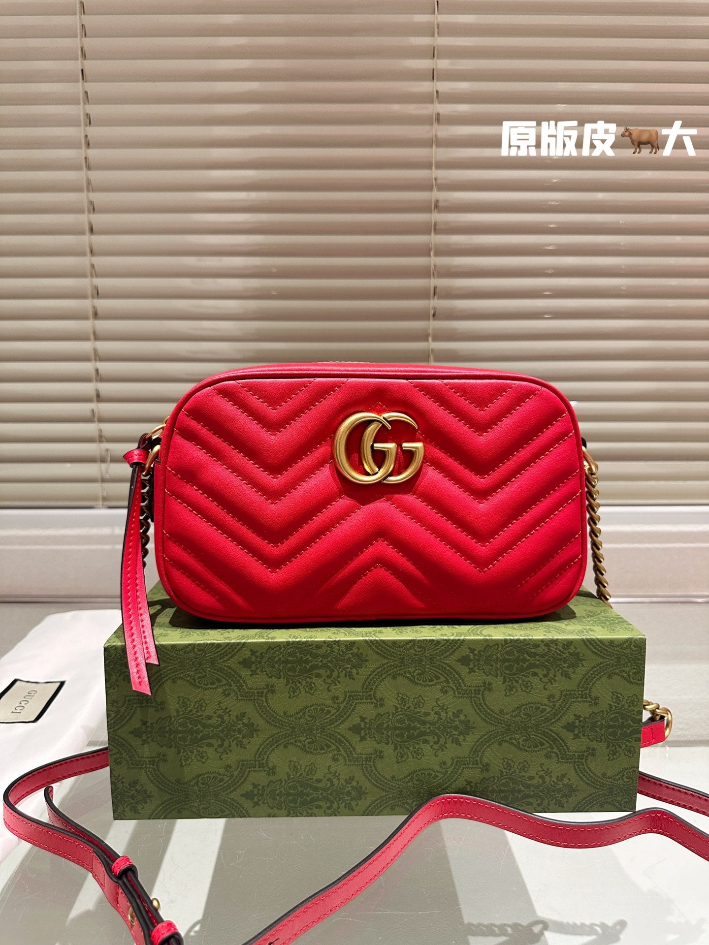 GUCCI-1073