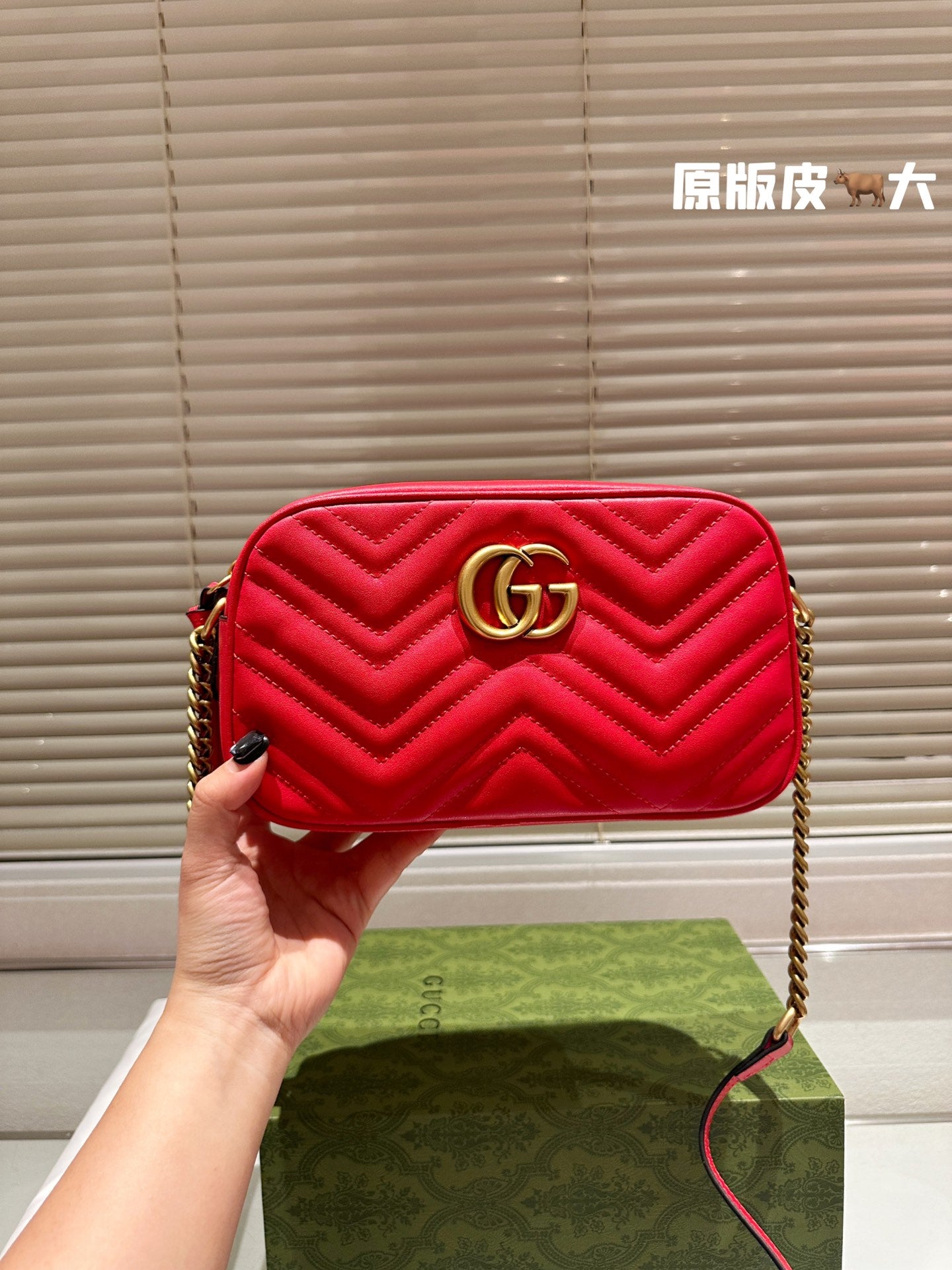 GUCCI-1073