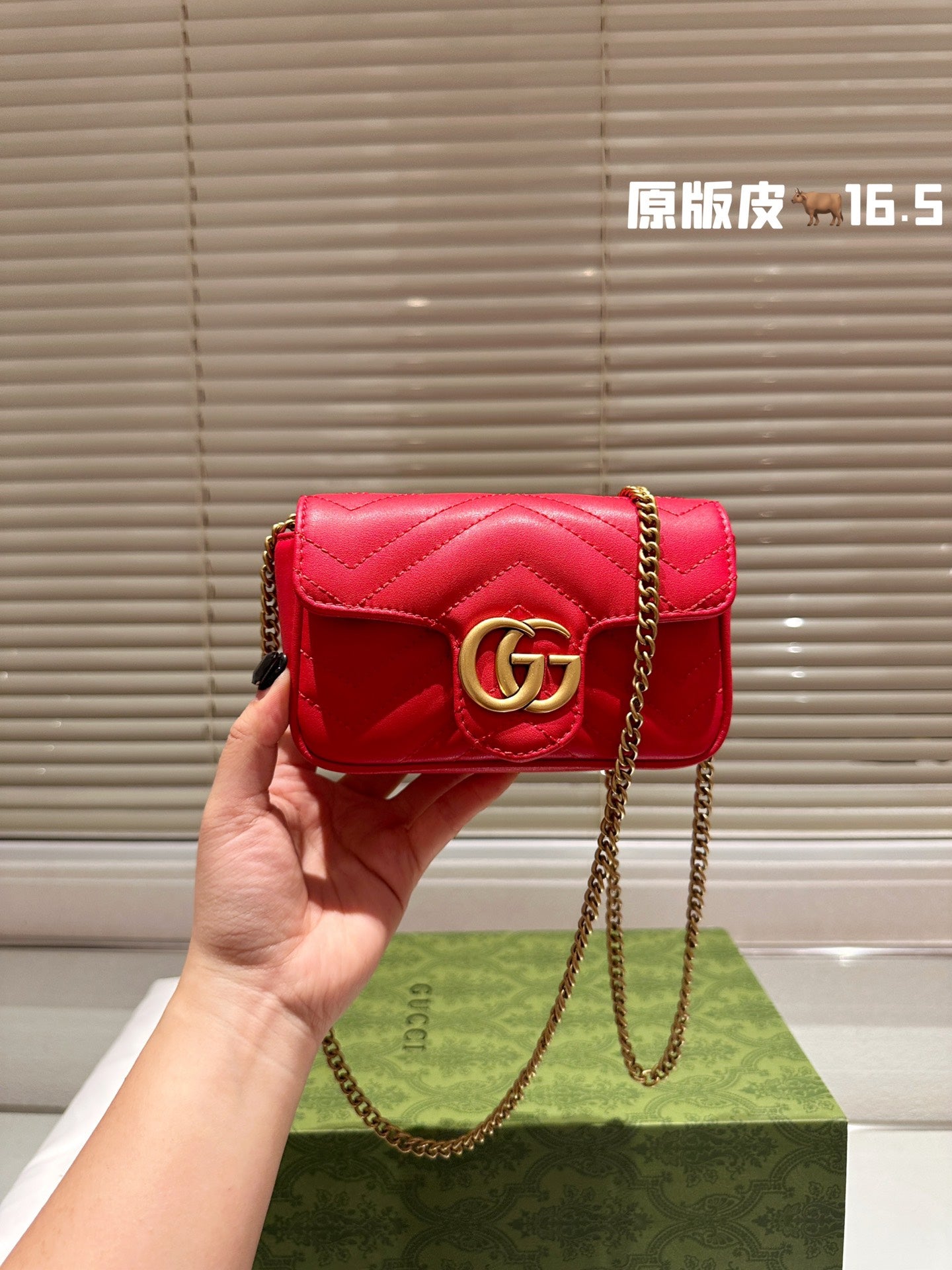 GUCCI-987