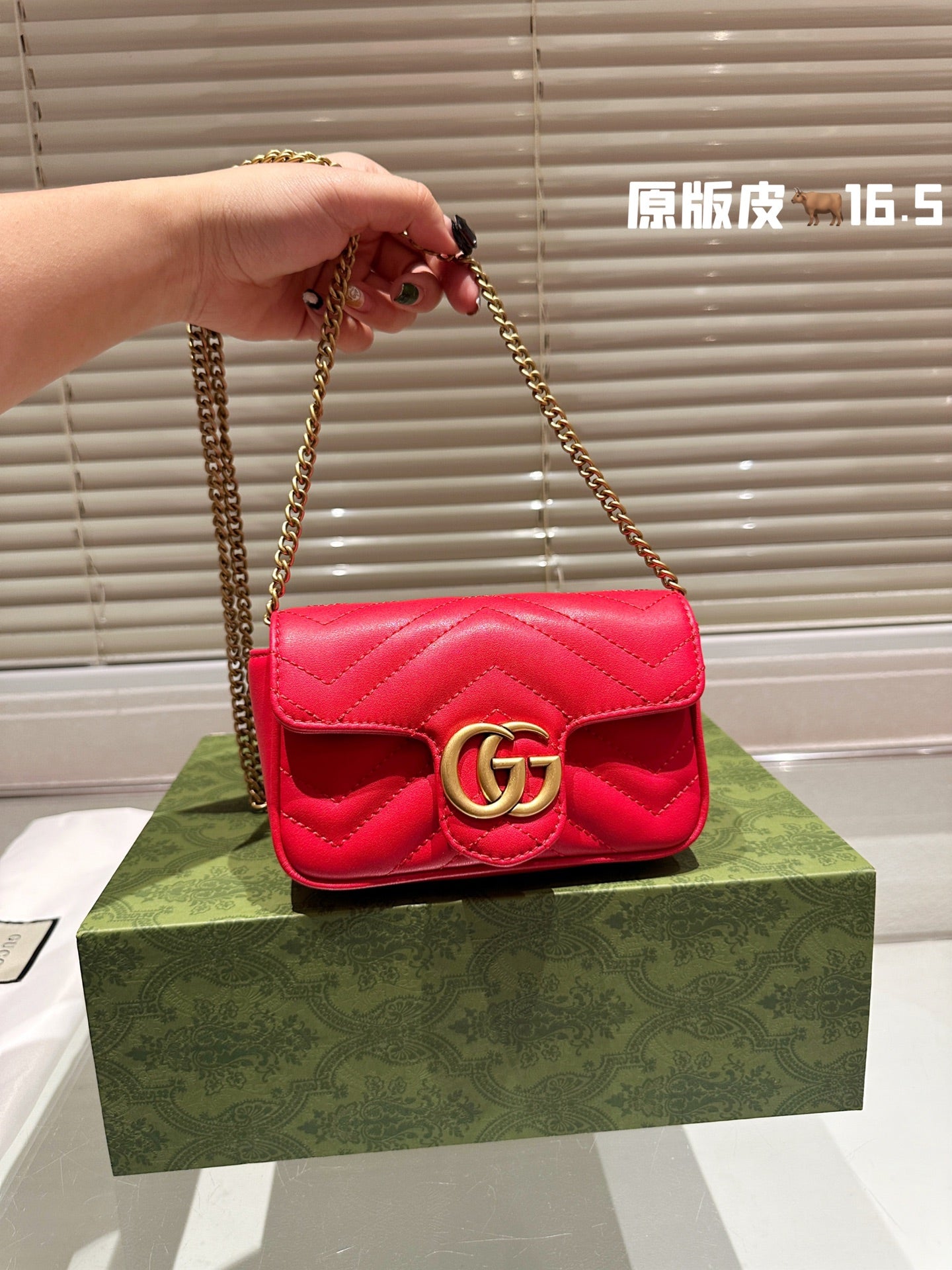 GUCCI-987
