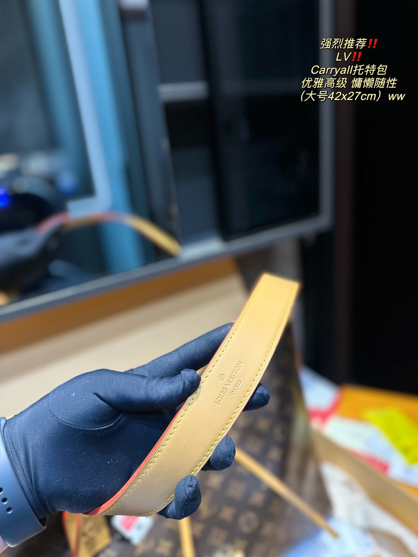 LV-BAG1001