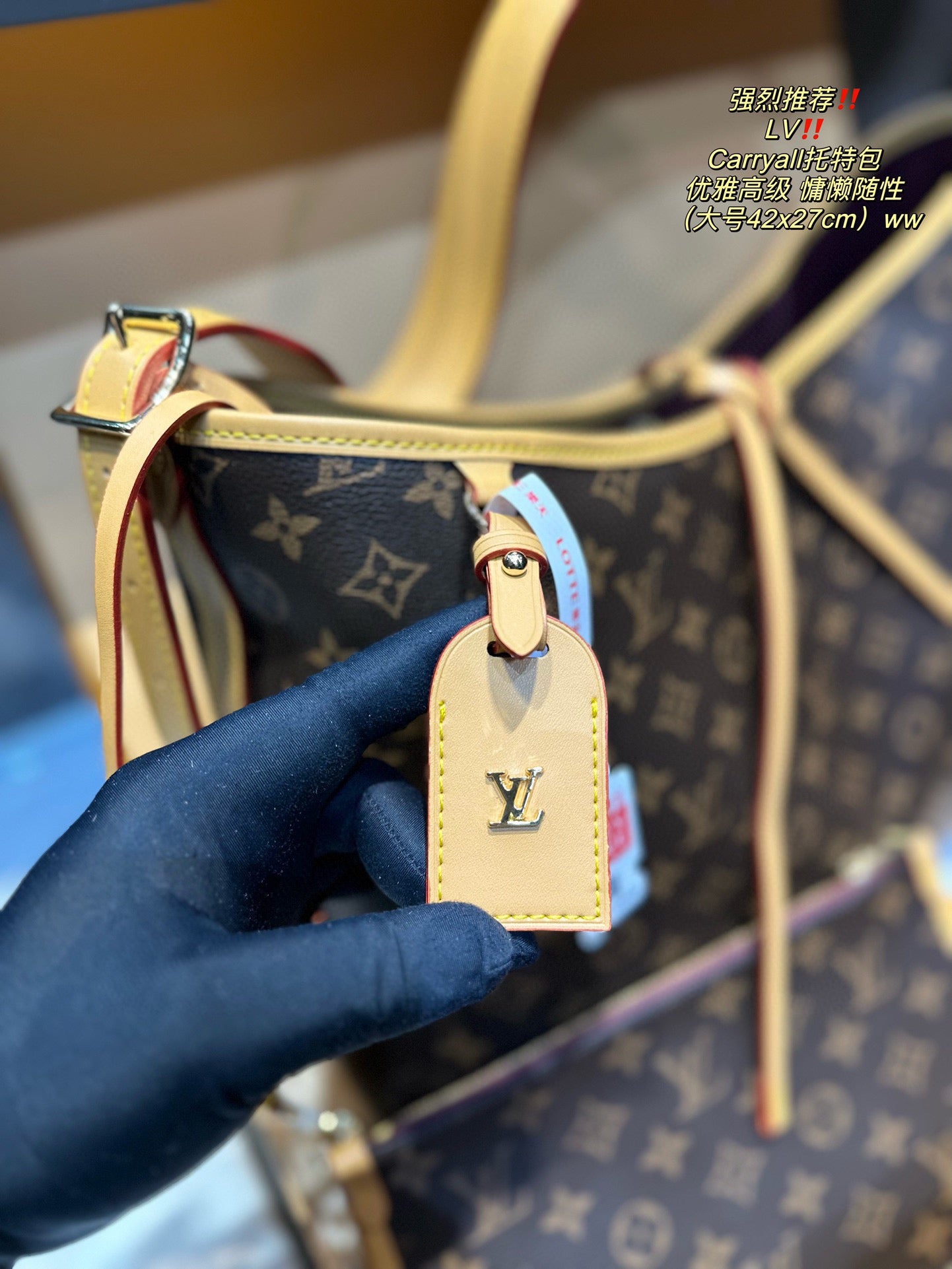 LV-BAG1001