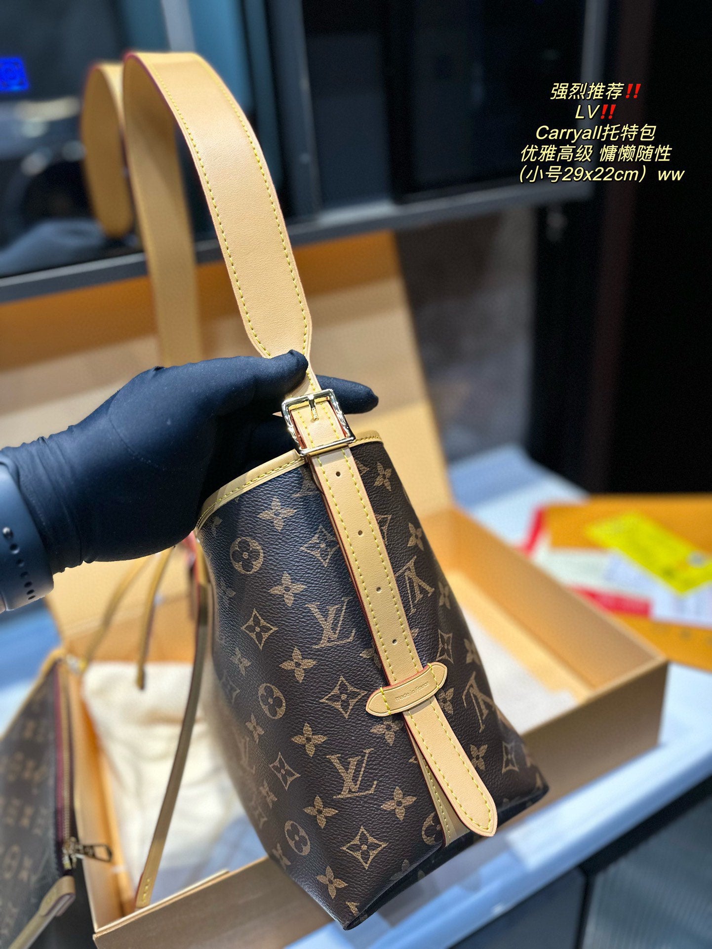 LV-BAG973