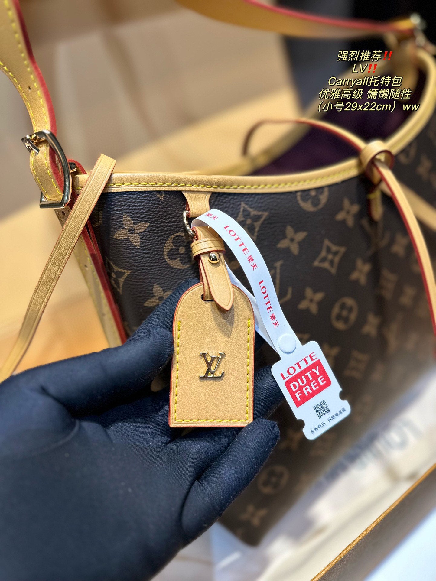 LV-BAG973