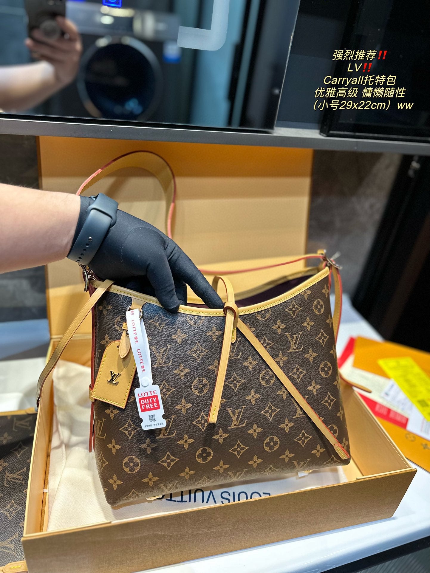 LV-BAG973