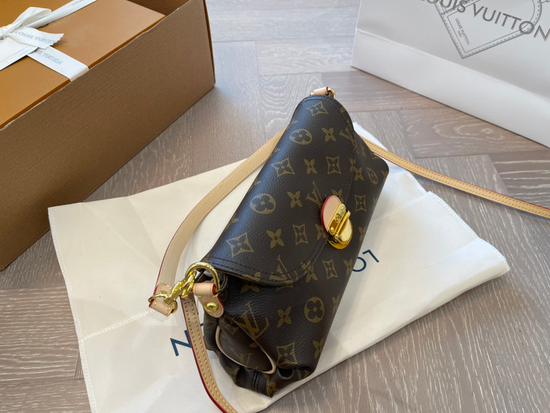 LV-BAG955