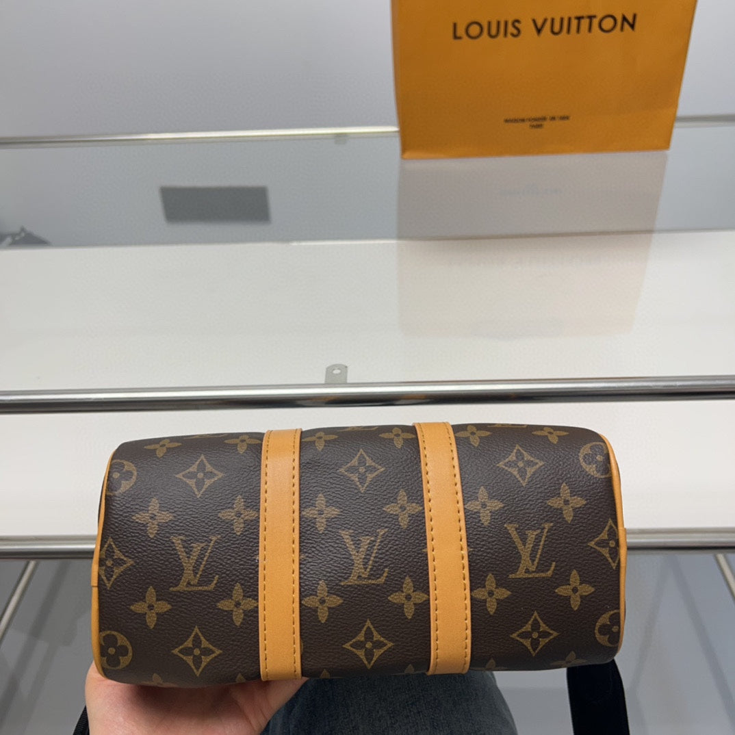 LV-BAG865