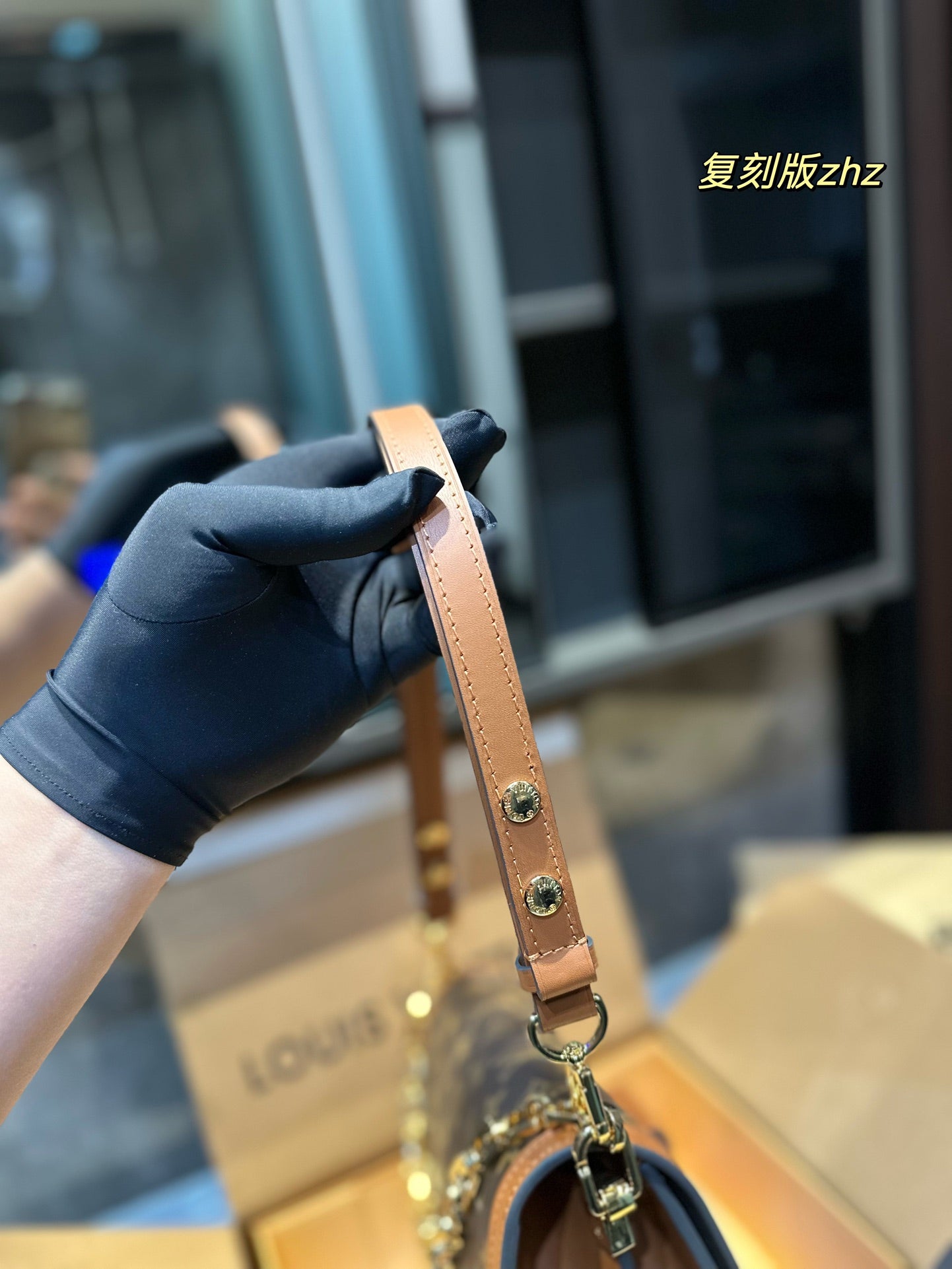 LV-BAG1079