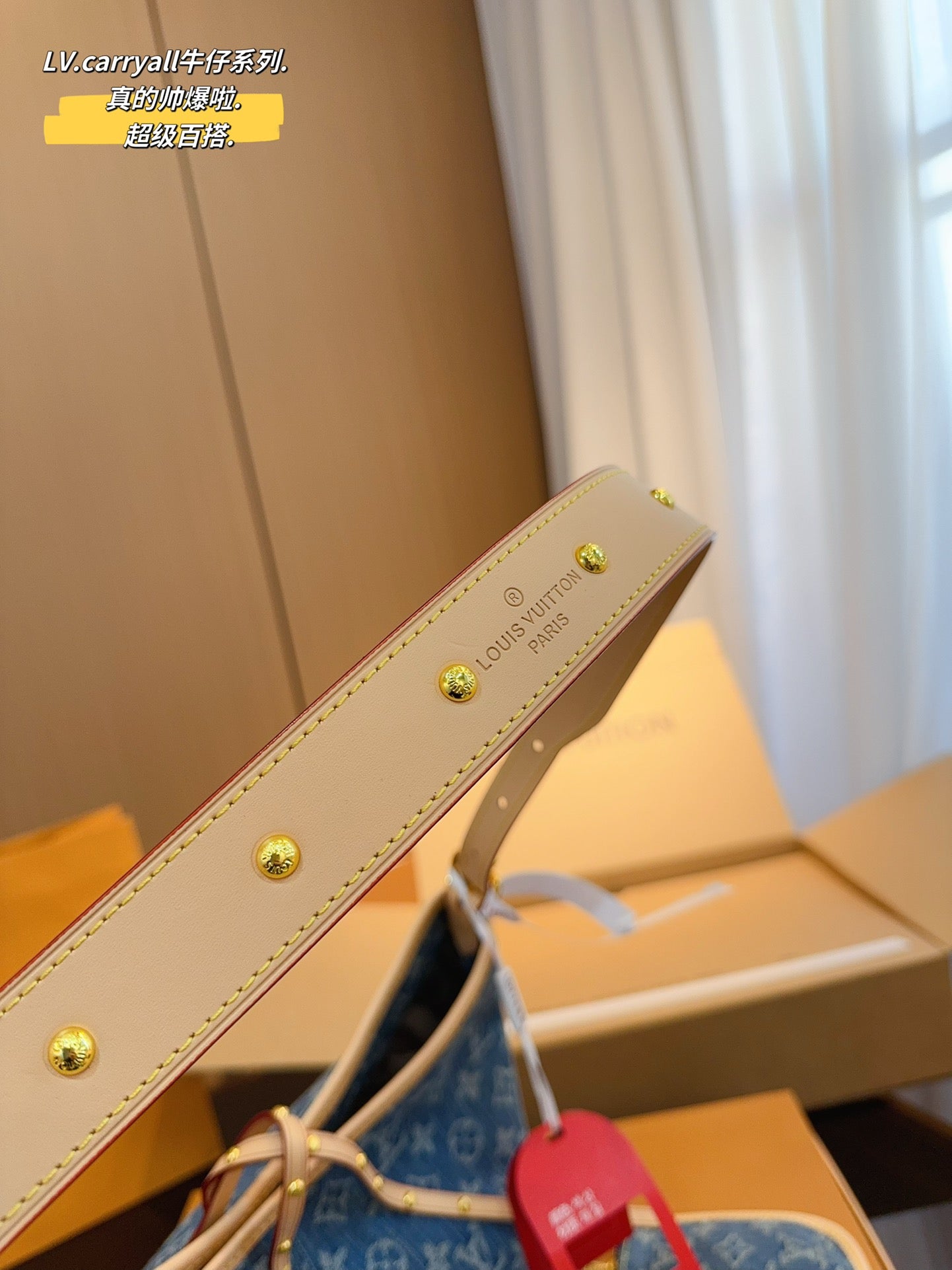 LV-BAG1067