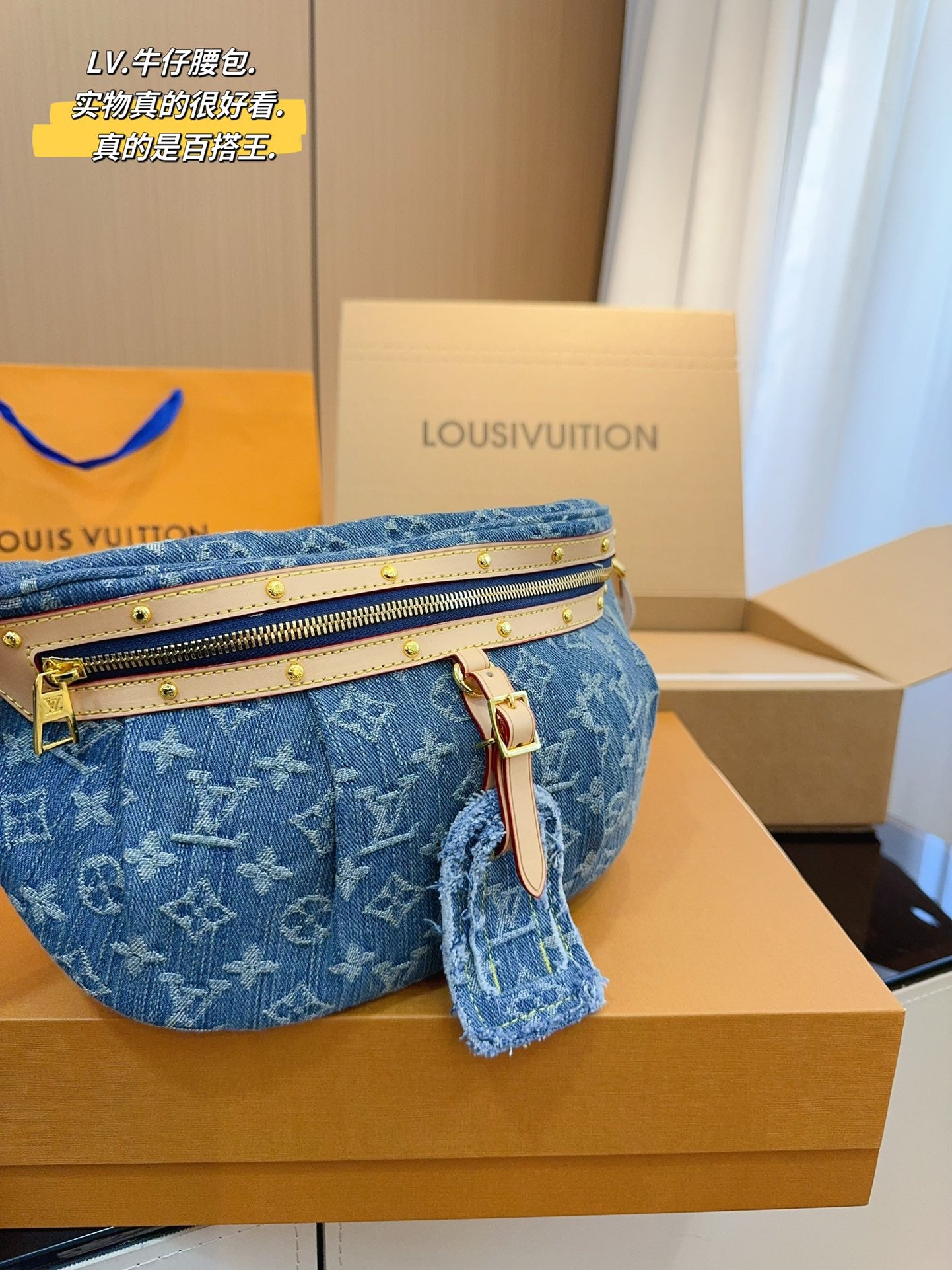LV-BAG1009