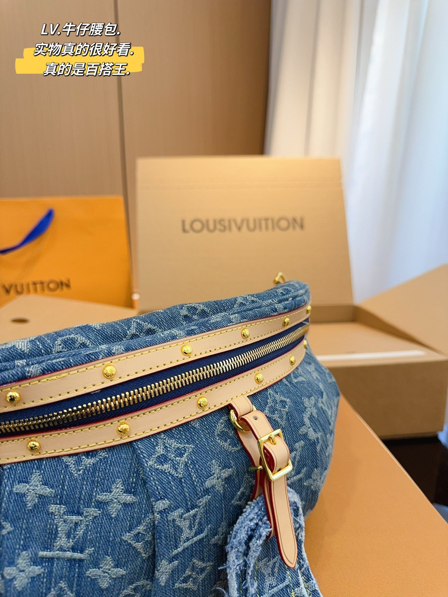 LV-BAG1009