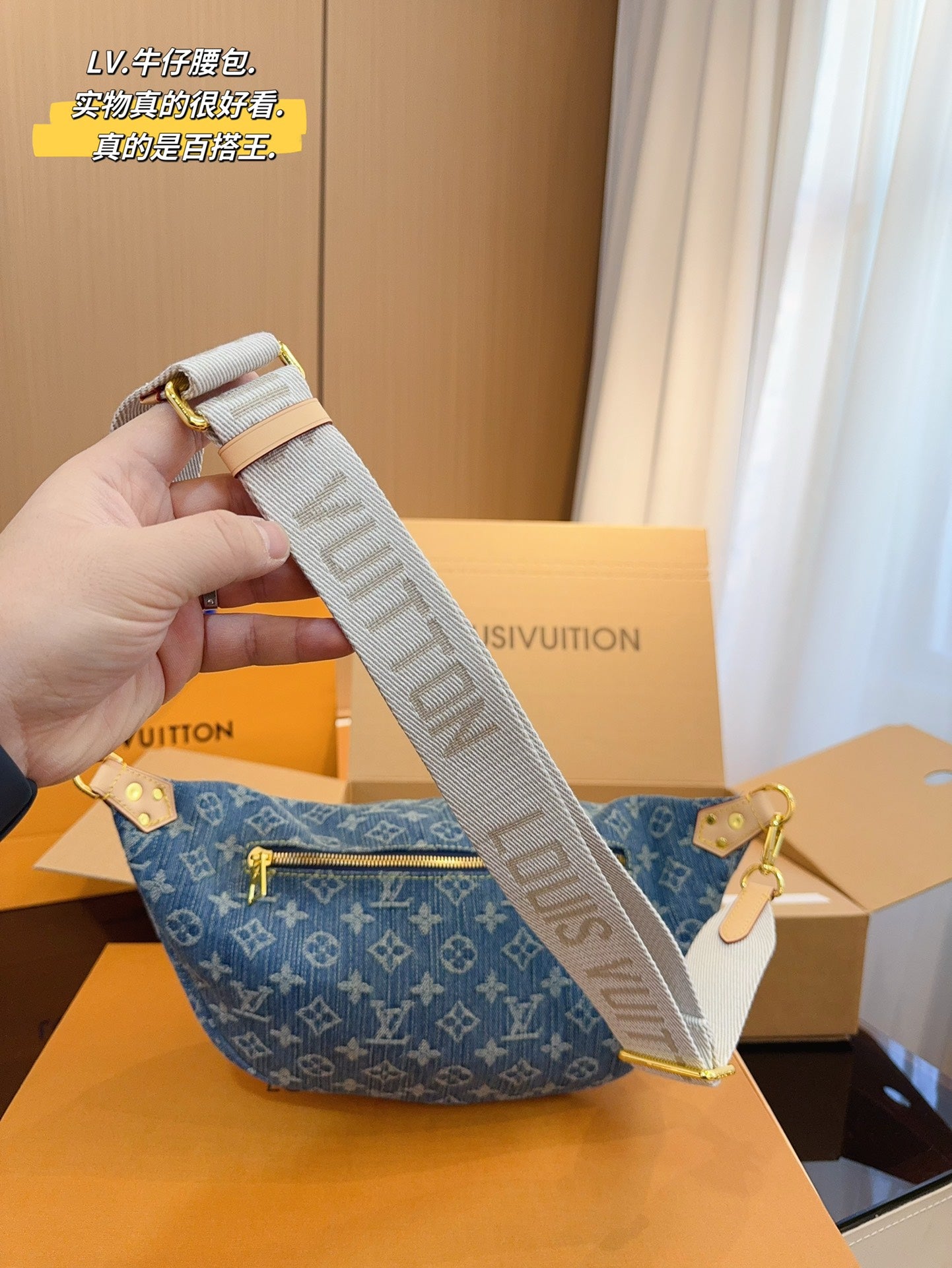 LV-BAG1009