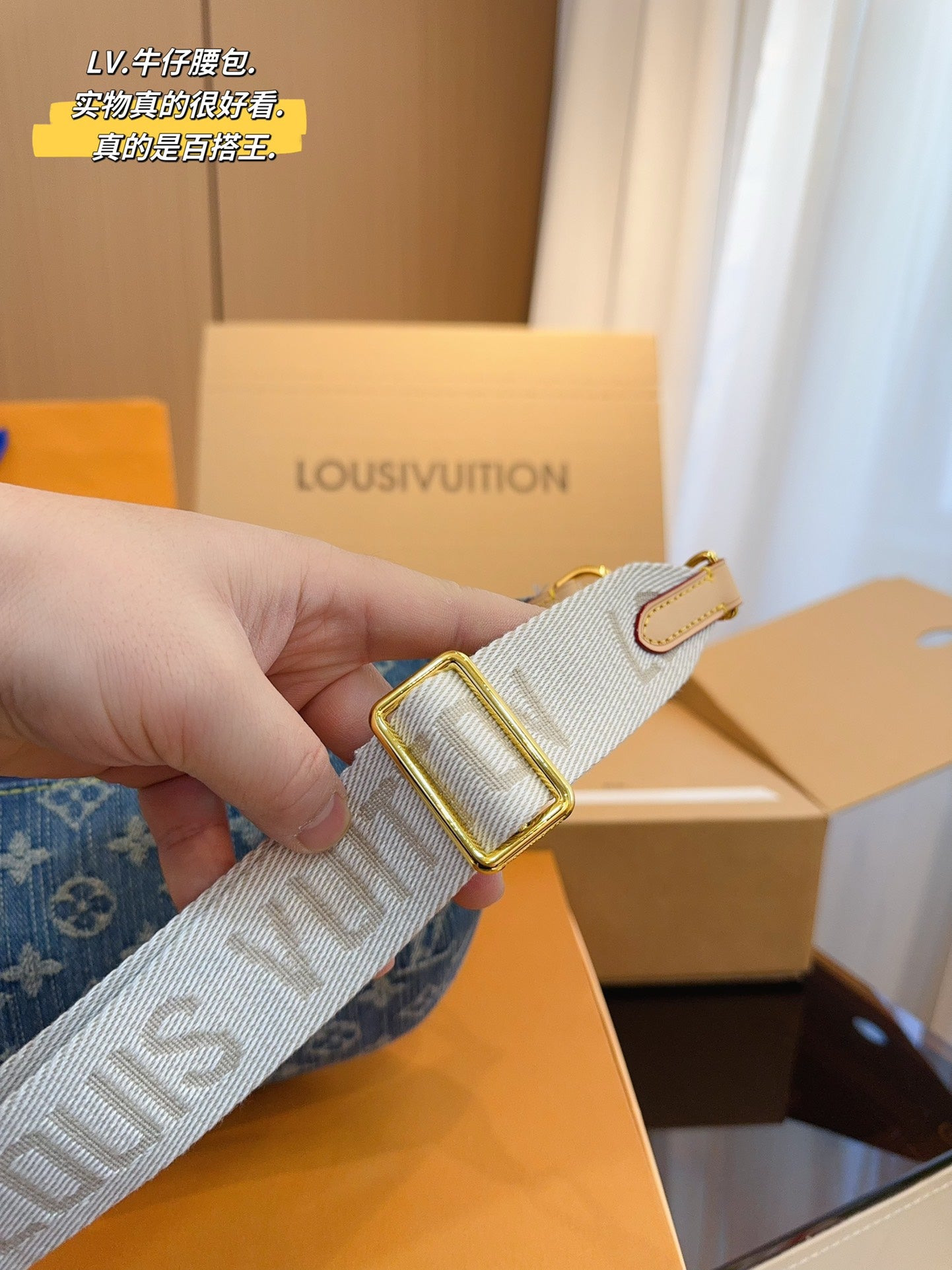 LV-BAG1009