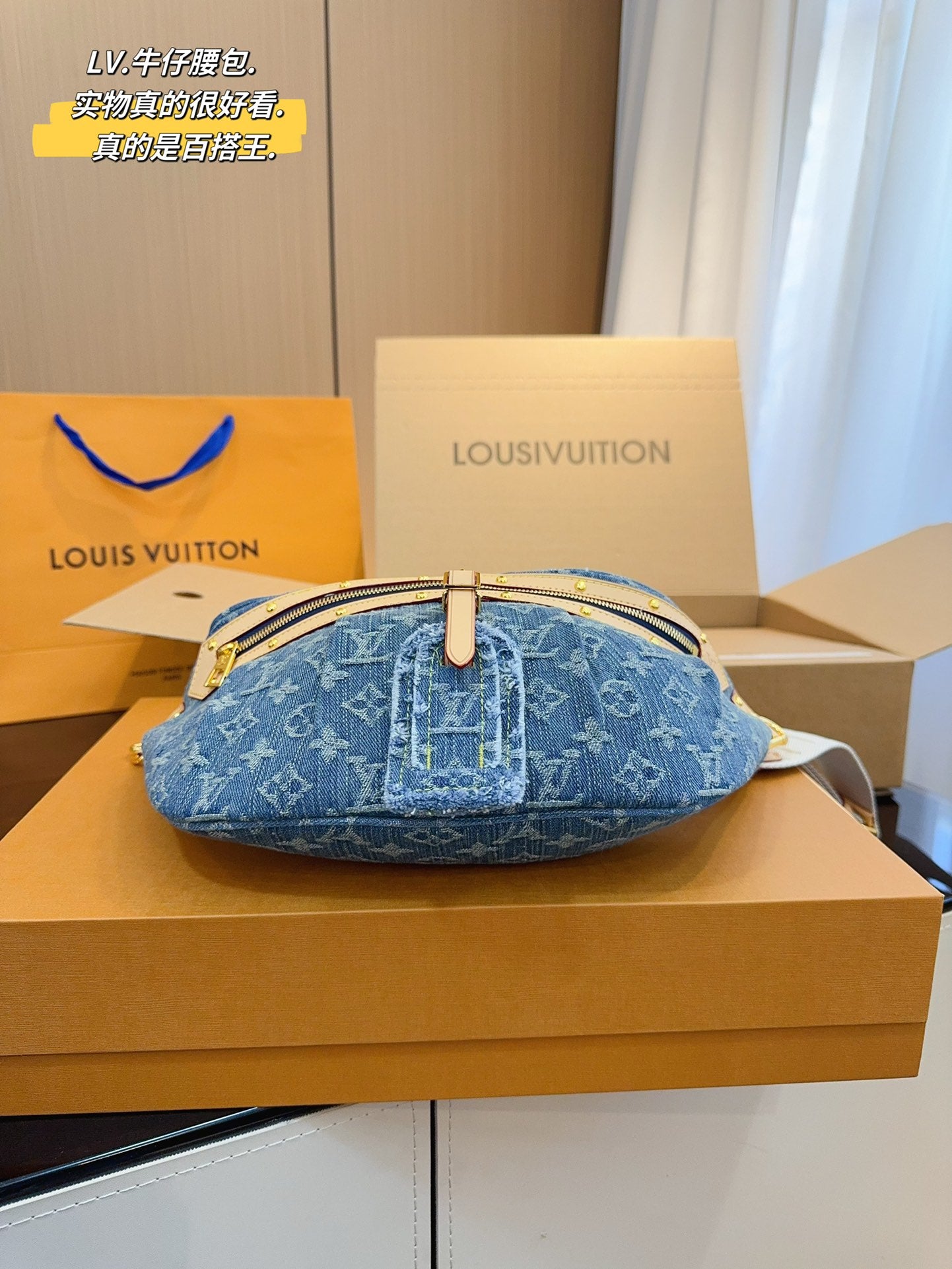 LV-BAG1009