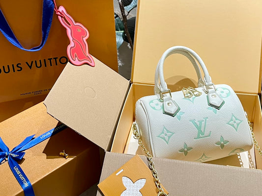 LV-BAG820