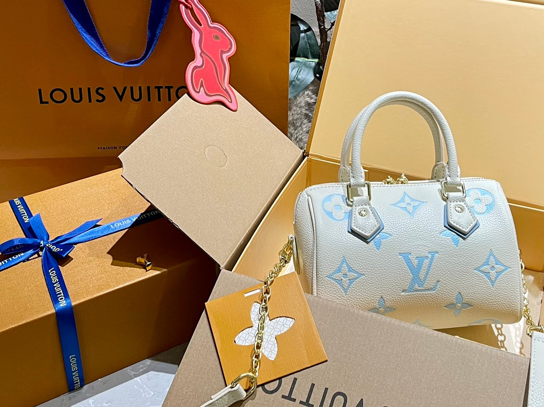 LV-BAG820