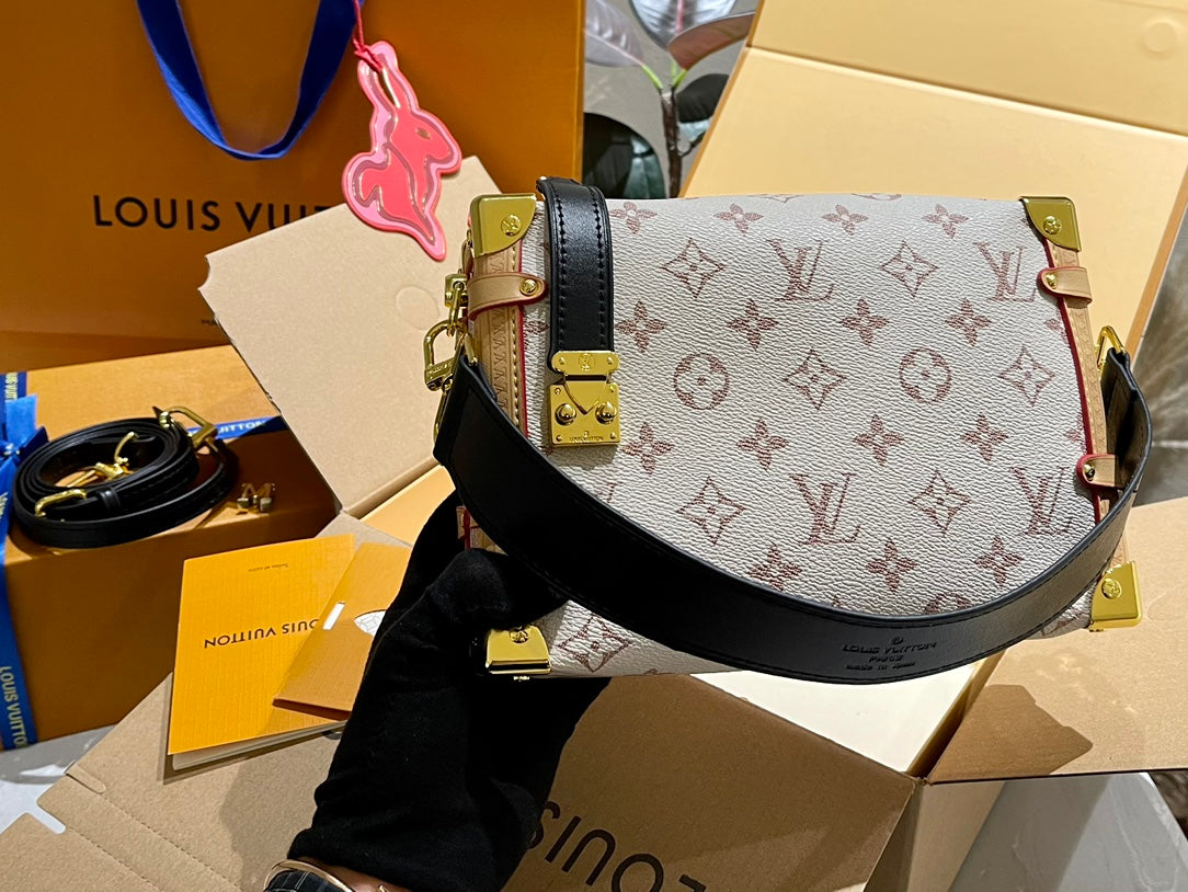 LV-BAG896