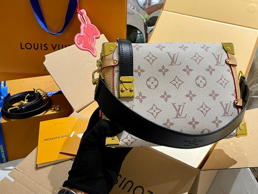 LV-BAG896