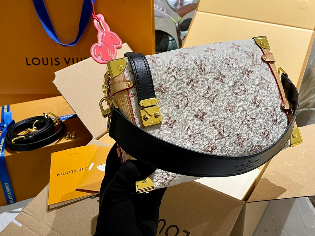 LV-BAG896