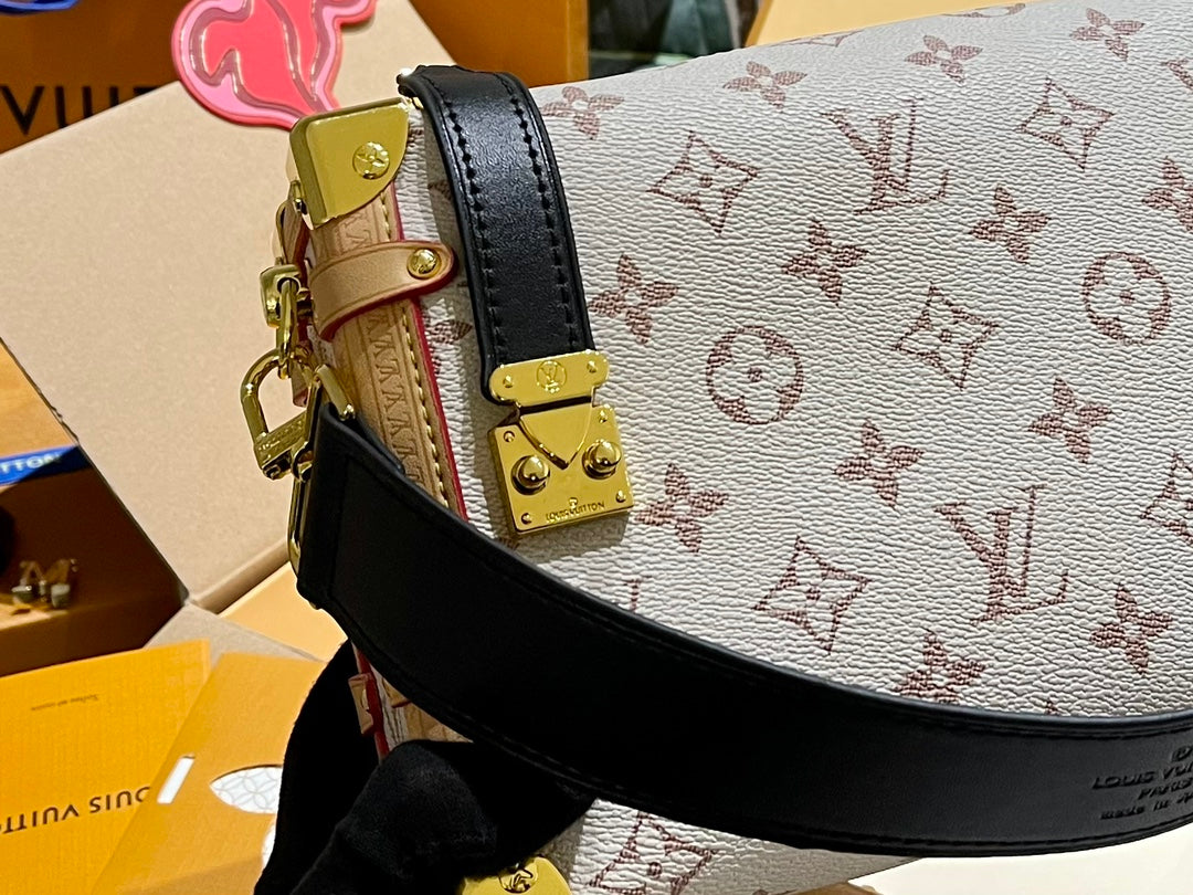 LV-BAG896