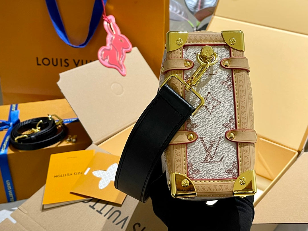 LV-BAG896