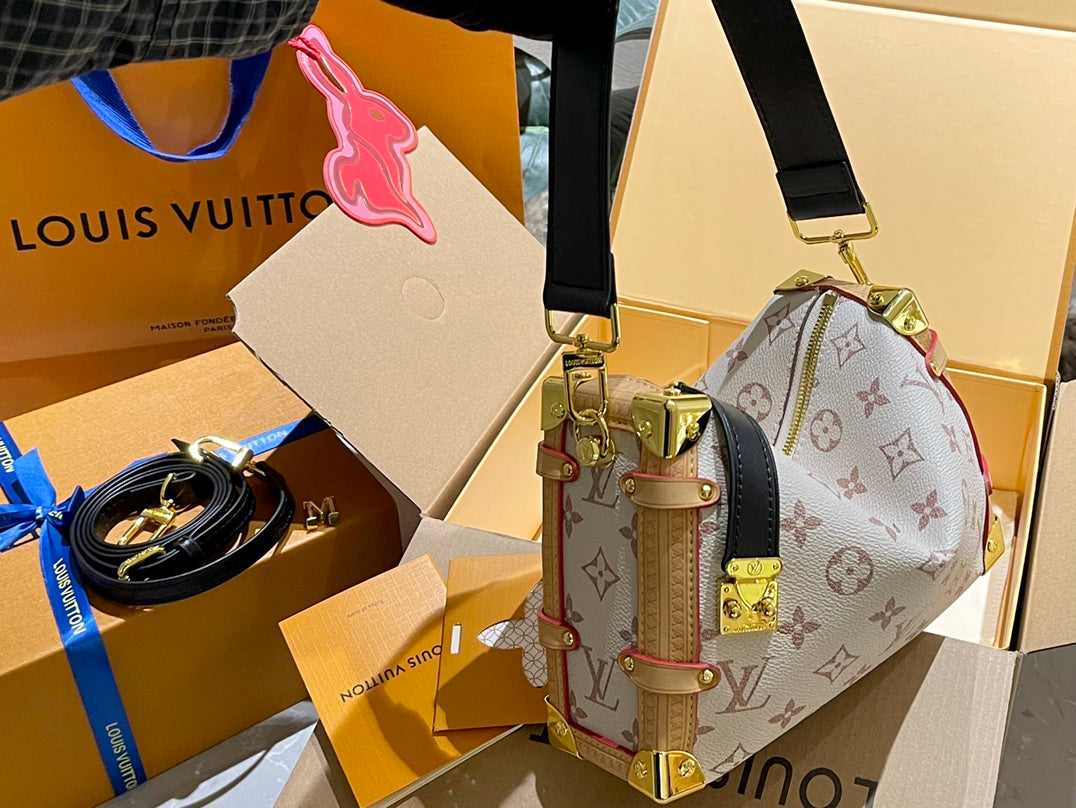 LV-BAG896