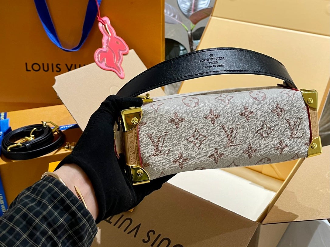 LV-BAG896