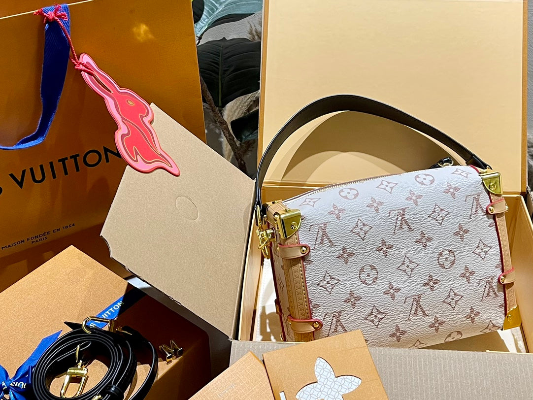 LV-BAG896